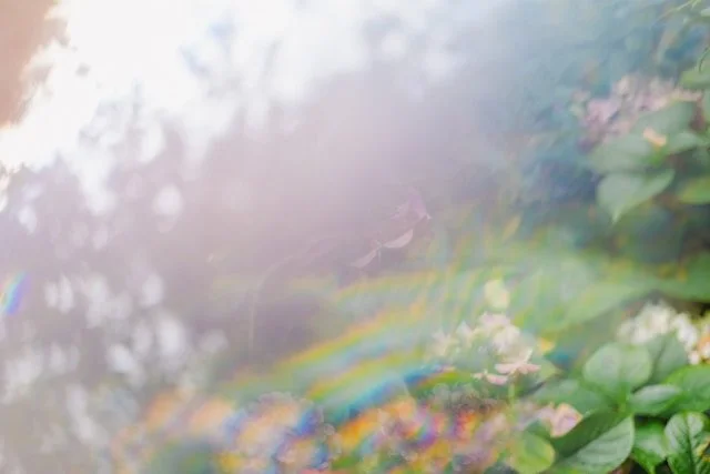 Somatic Therapy for Trauma Healing: A Body-Centered Approach