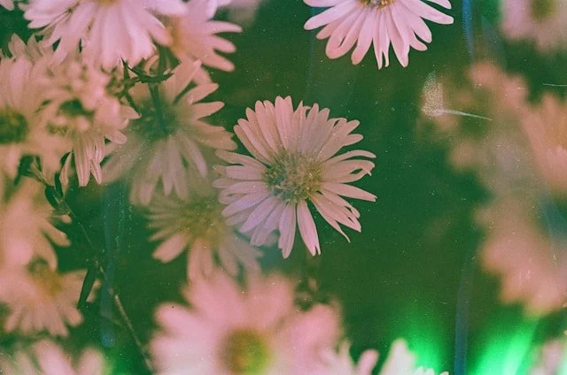 Debunking Myths About Ketamine-Assisted Therapy