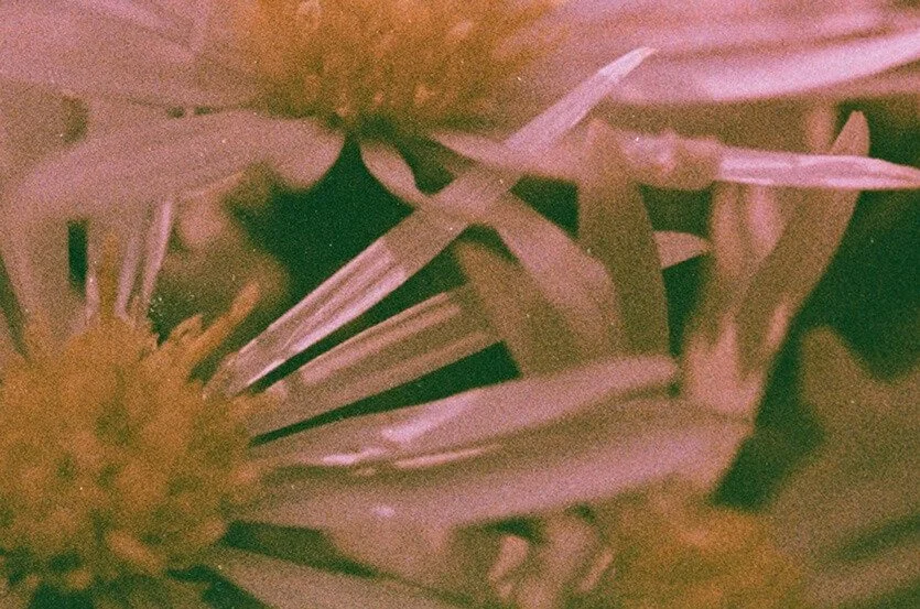 Couples therapy Denver