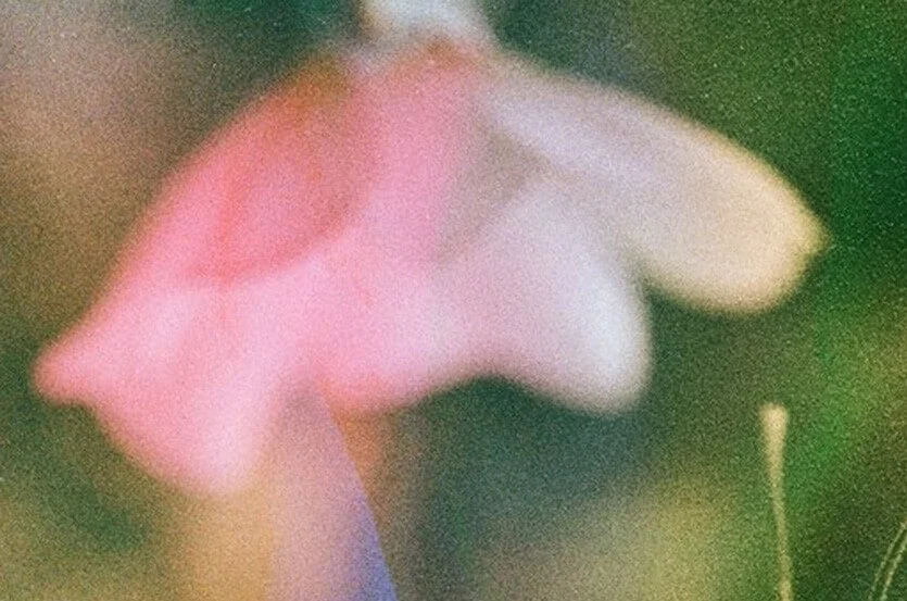 EMDR Therapy in Denver & Seattle