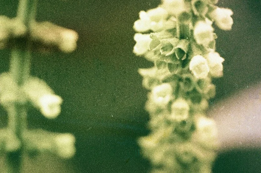 Somatic therapy in Seattle and Denver