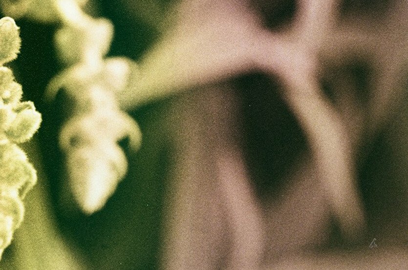 Psilocybin therapy in Denver, Colorado