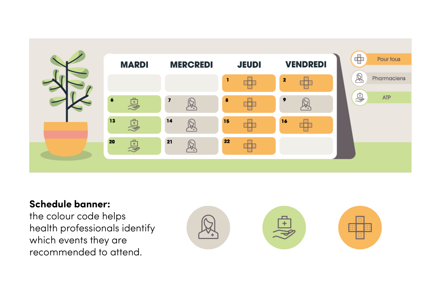 Schedule calendar with color codes: yellow for all, gray for pharmacists, green for ATP. Contains days of the week with scheduled events marked by symbols and colors. Side graphic with a potted plant and a schedule explanation highlighting the color 