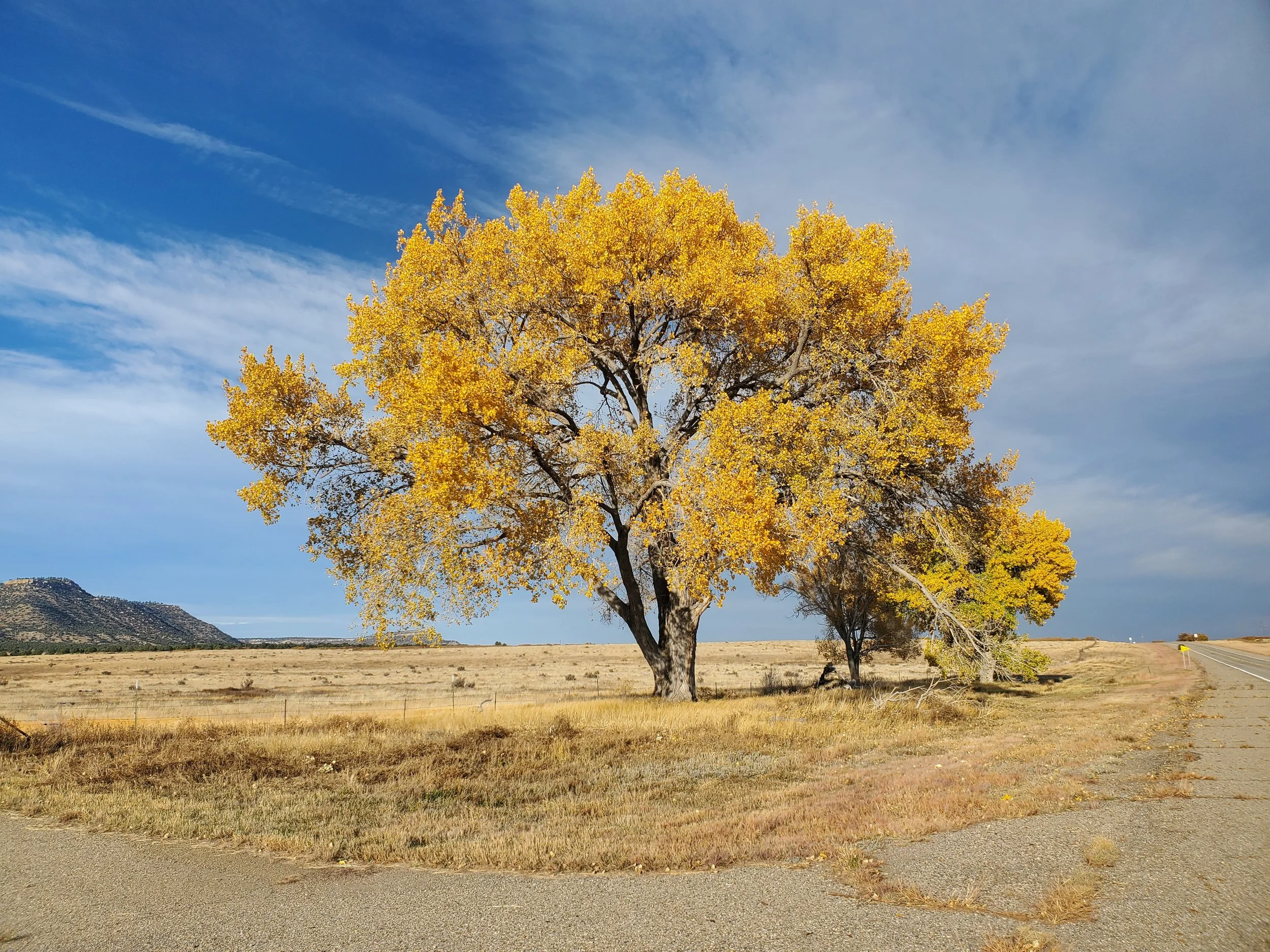 Rogation Day Prayer Walk