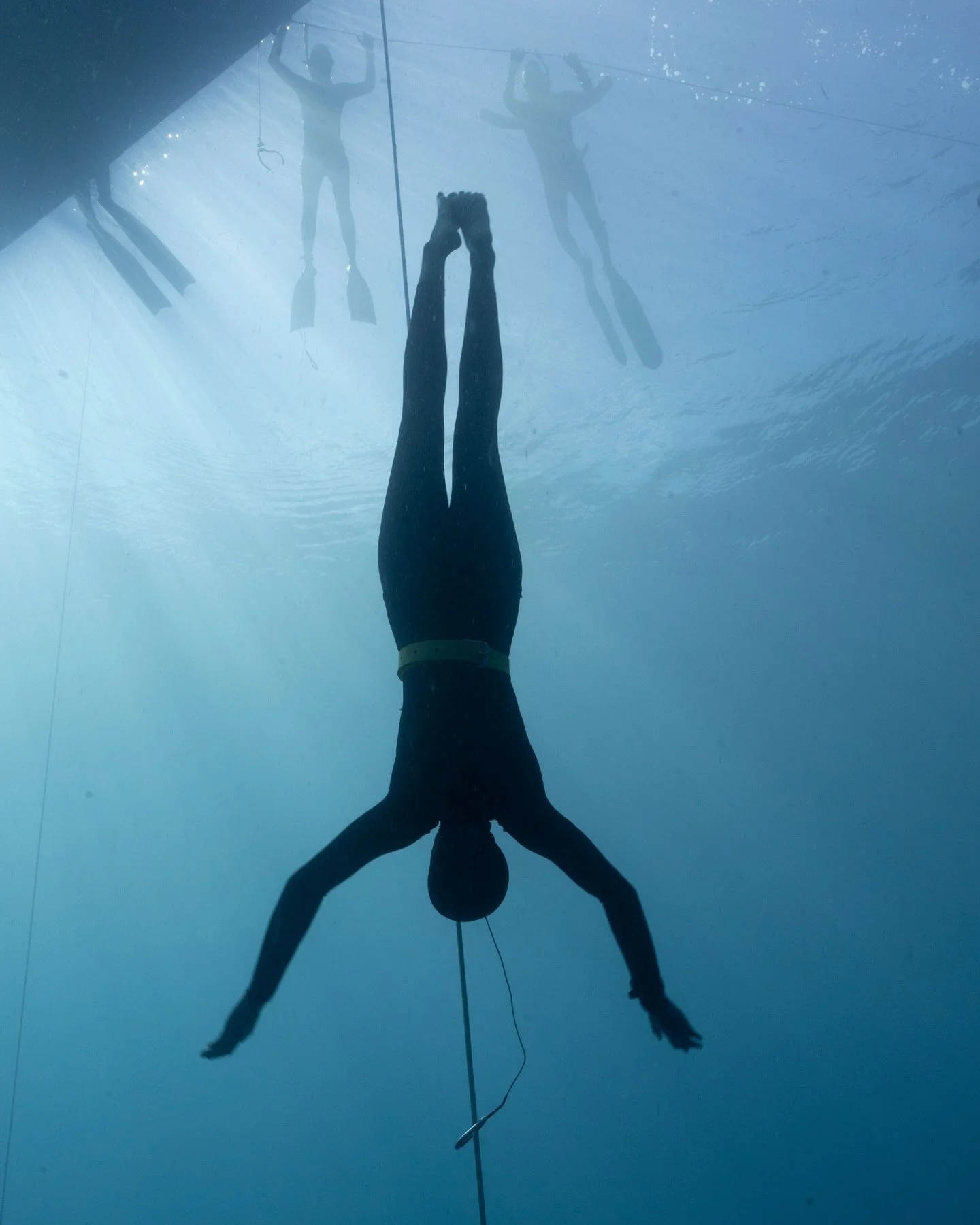 「Watch Me Fly」
🧜‍♀️ @the_afrodiver 
📸 @notsuperwomansusie 
#freediver #freediving #apnea #freedivingtraining #underwaterphotography #nauticam #sonyalpha #sportsphotography #dominica #underwater @sonyalphafemale @sonyalpha @nauticamhousings