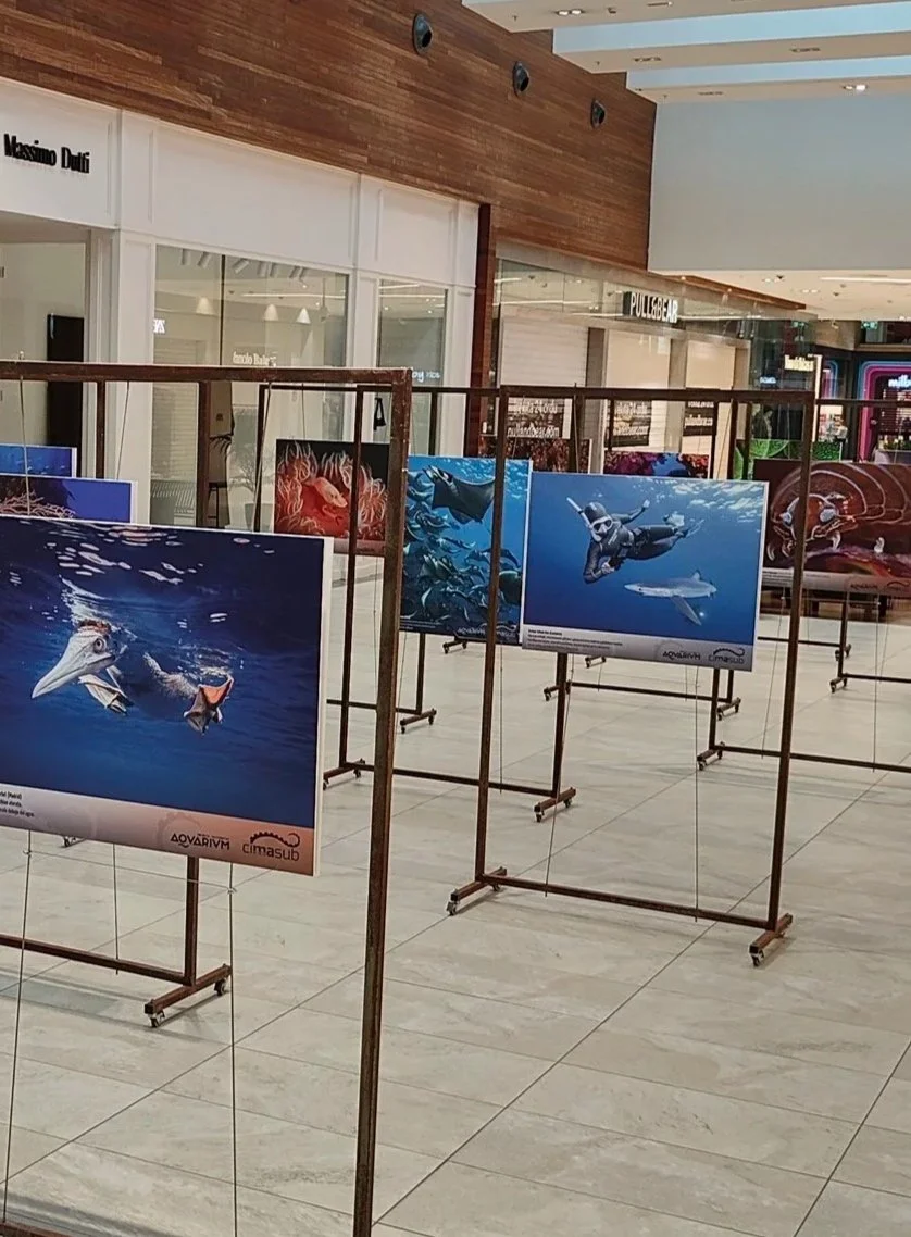 San Sebastian International Underwater Film Festival Exhibition