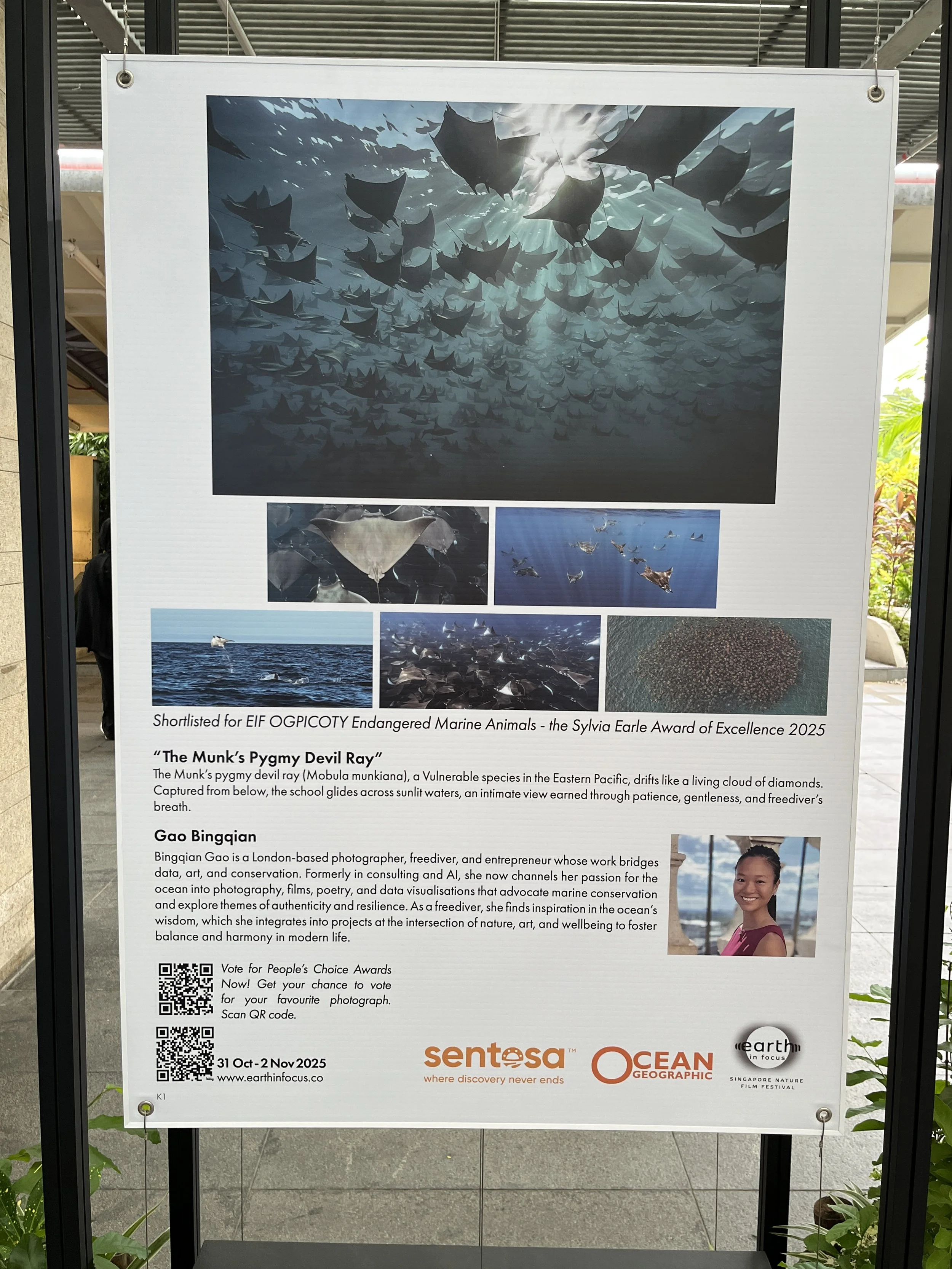 Earth In Focus Sentosa