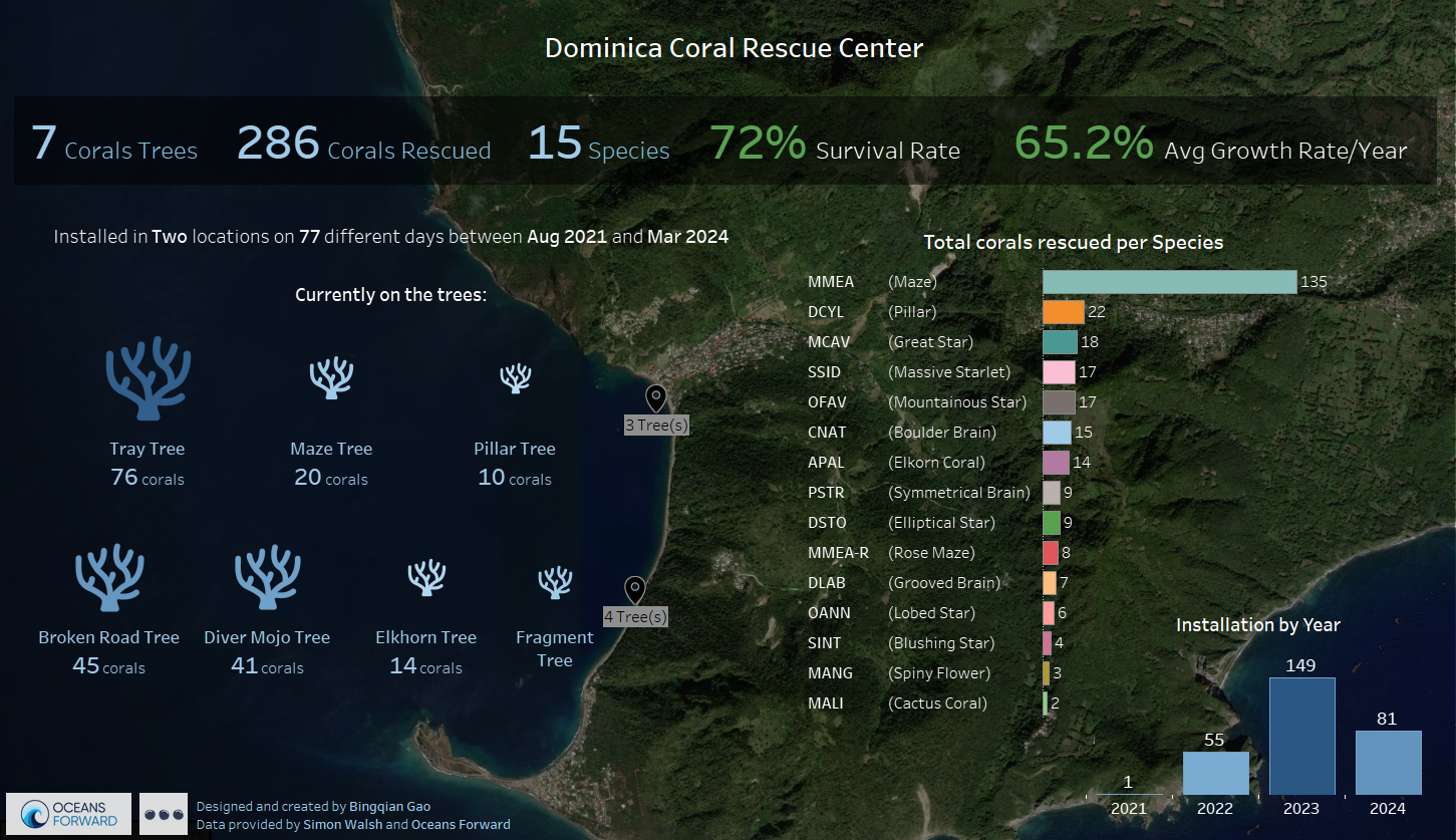 2024 Coral Infographics_final.png