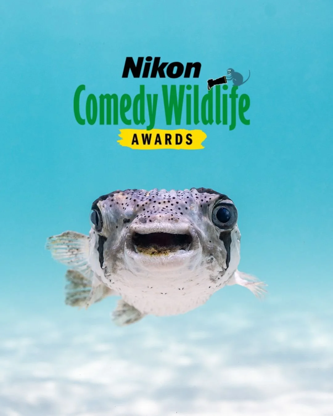 nikon comedy wildlife.jpeg