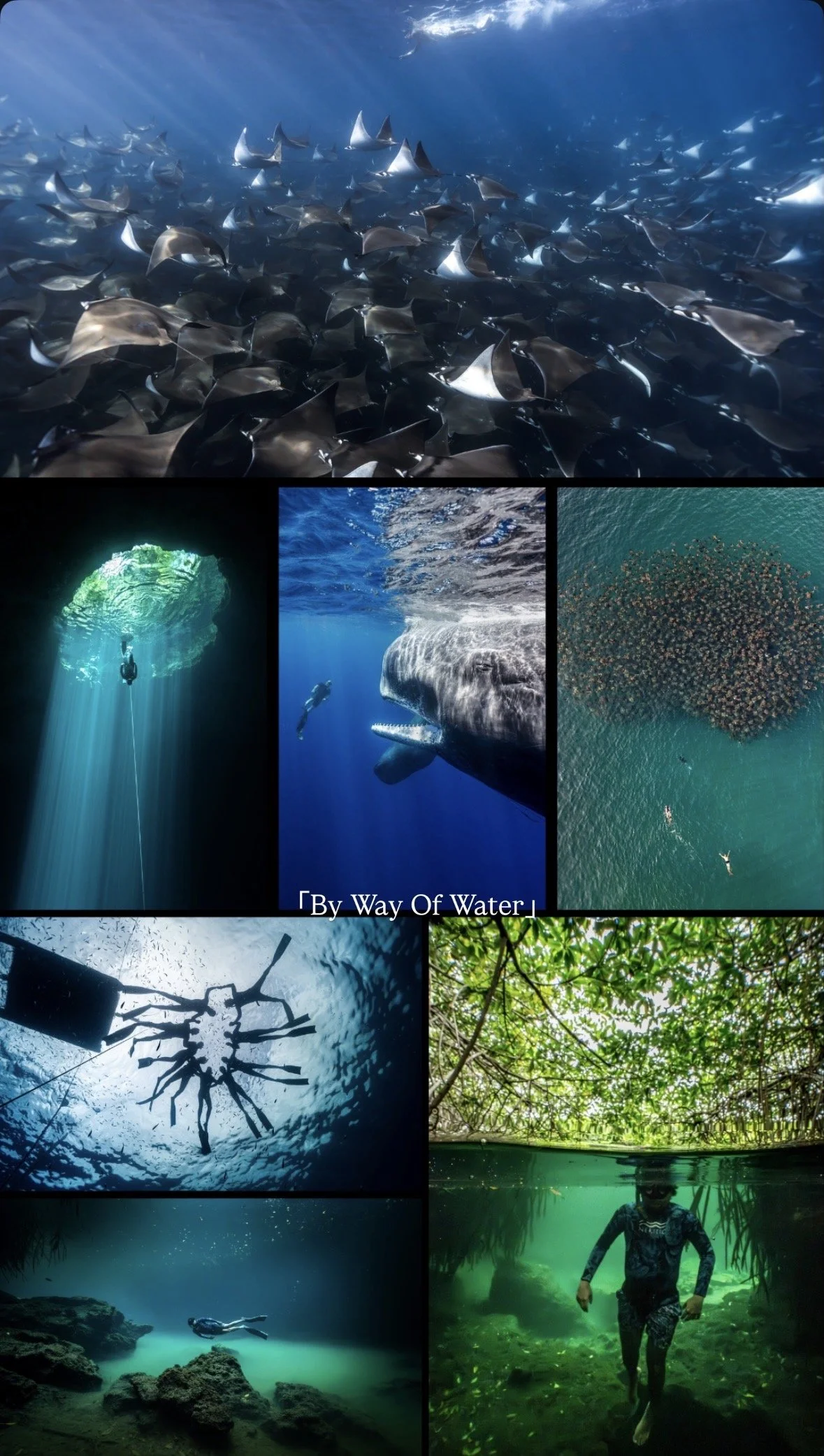People's Choice Award Winner: "BY WAY OF WATER"