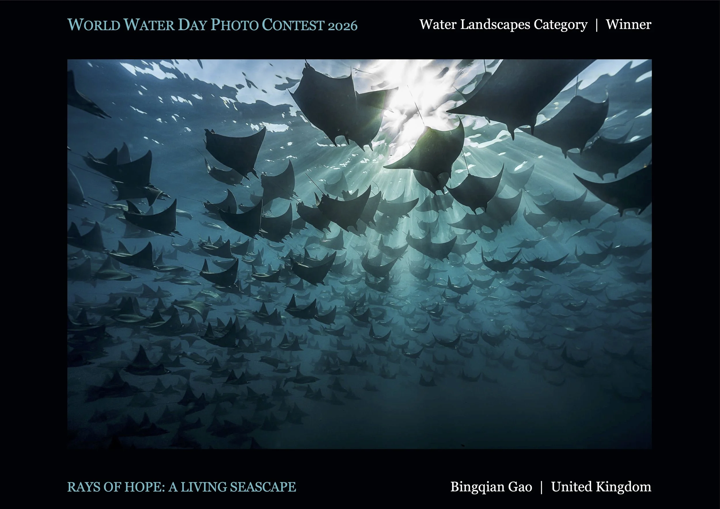 World Water Day Photo Contest 2026 Winner