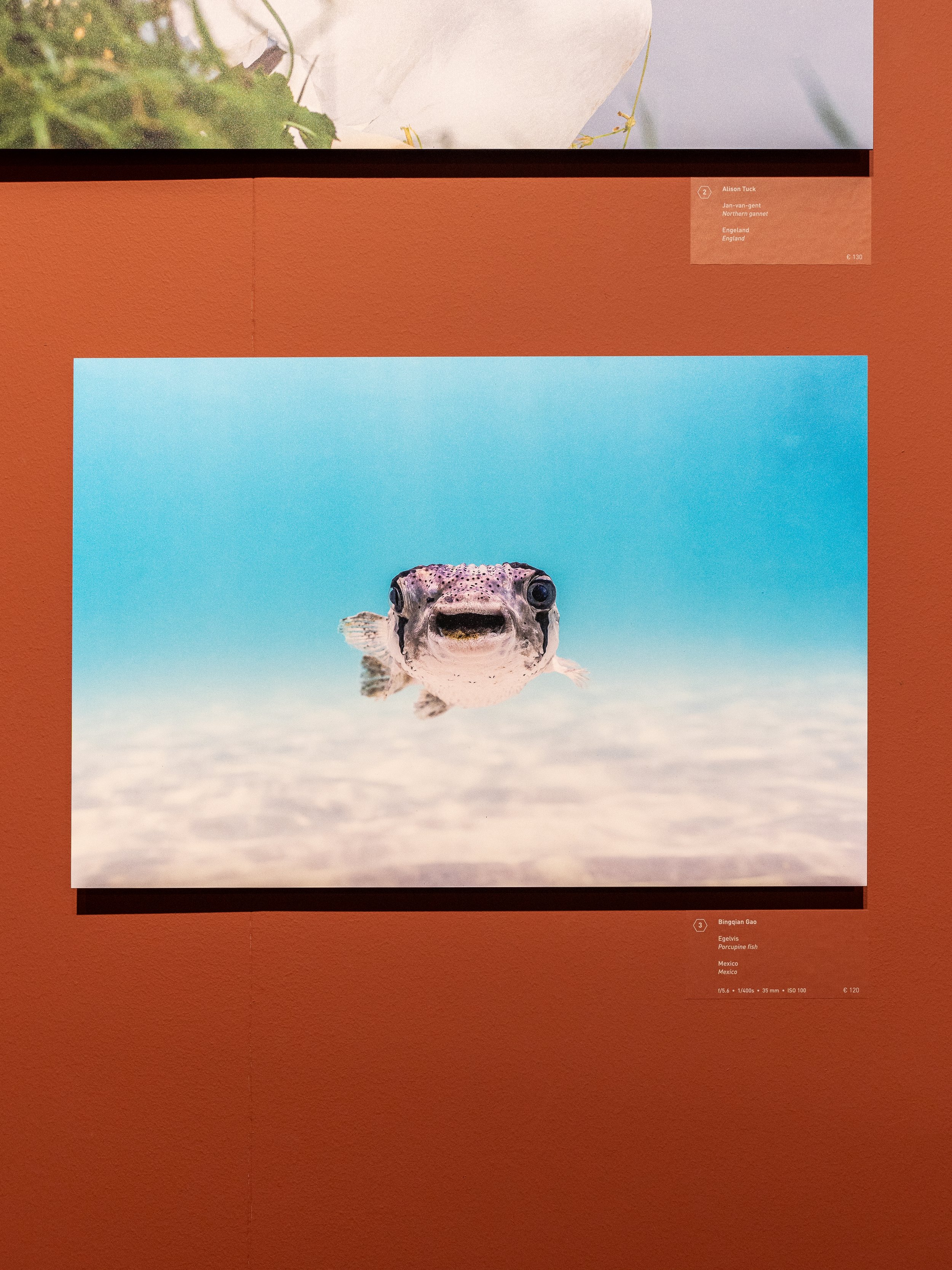 Natuurmuseum Brabant Netherlands