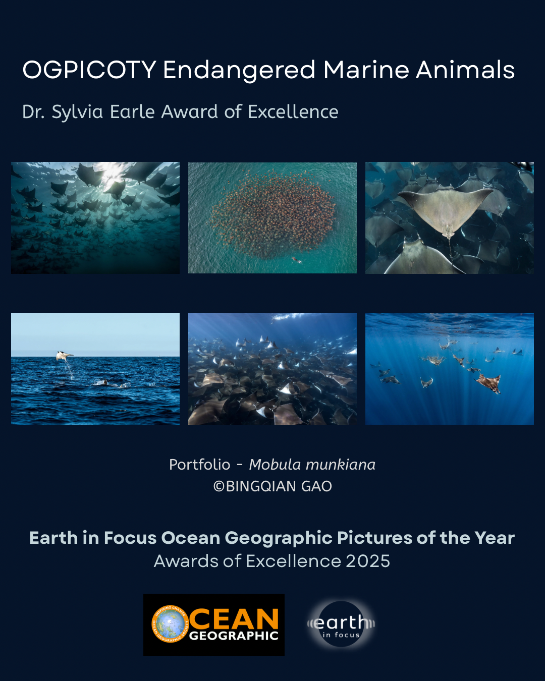 Sylvia Earle Award of Excellence