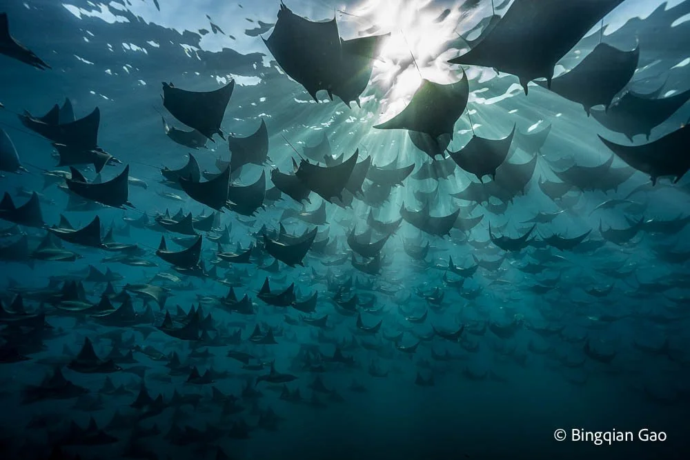 6. Rays of Hope_DSC06230-Edit PRINT 30X20 8BIT.jpg