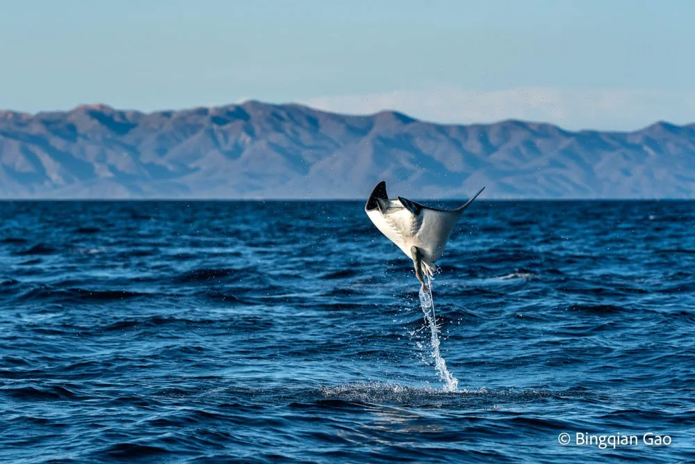 5. Hitchhiker_DSC07675-Edit Print 30x20 8bit.jpg