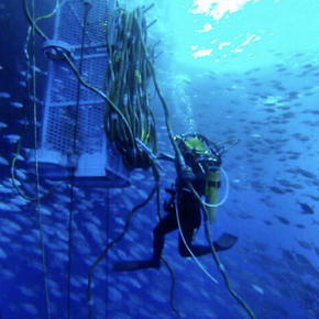 Commercial diving San Francisco Bay Area - Raphael Garios (Poseidon Boat Services)