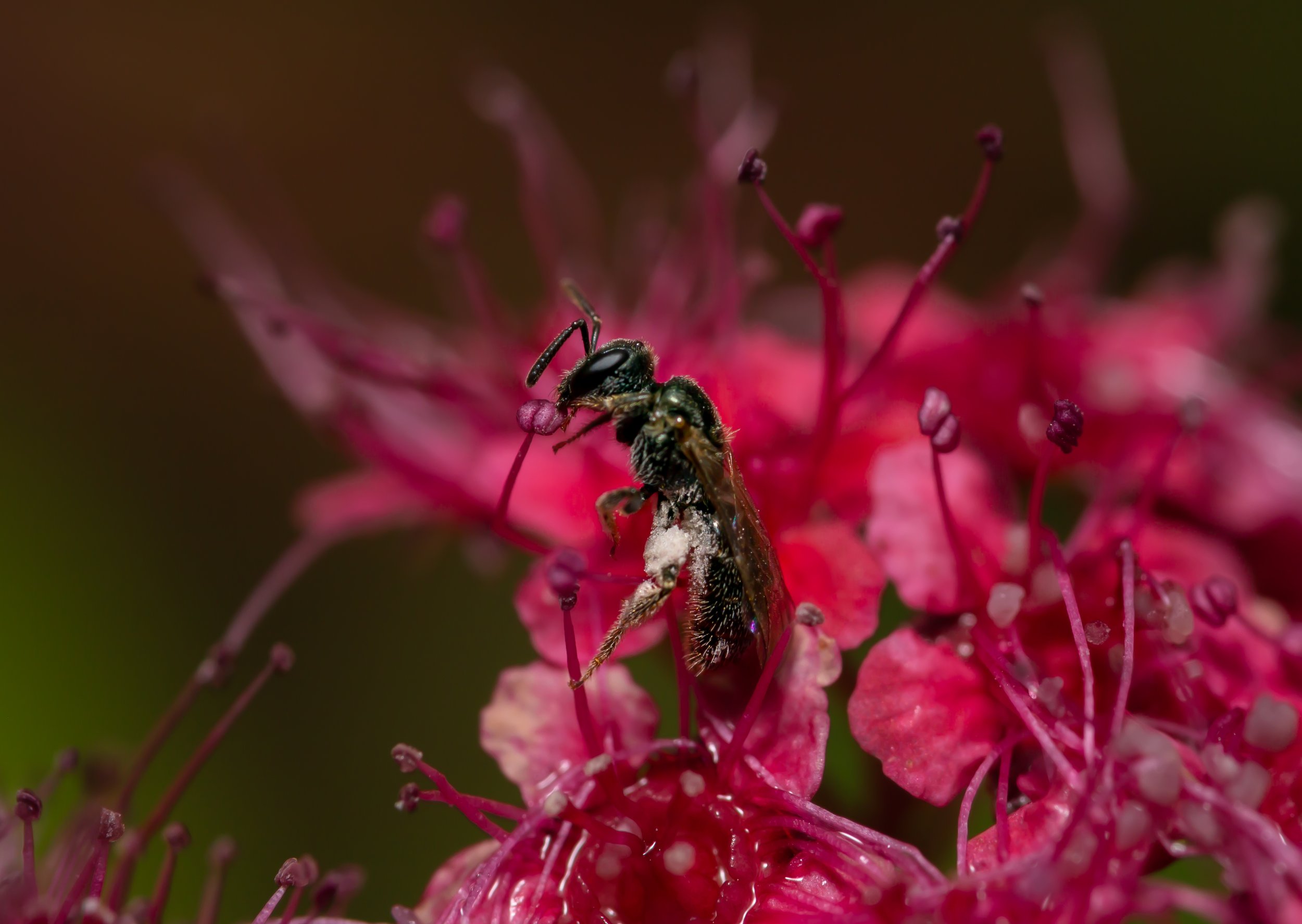 Balancing on a Thread