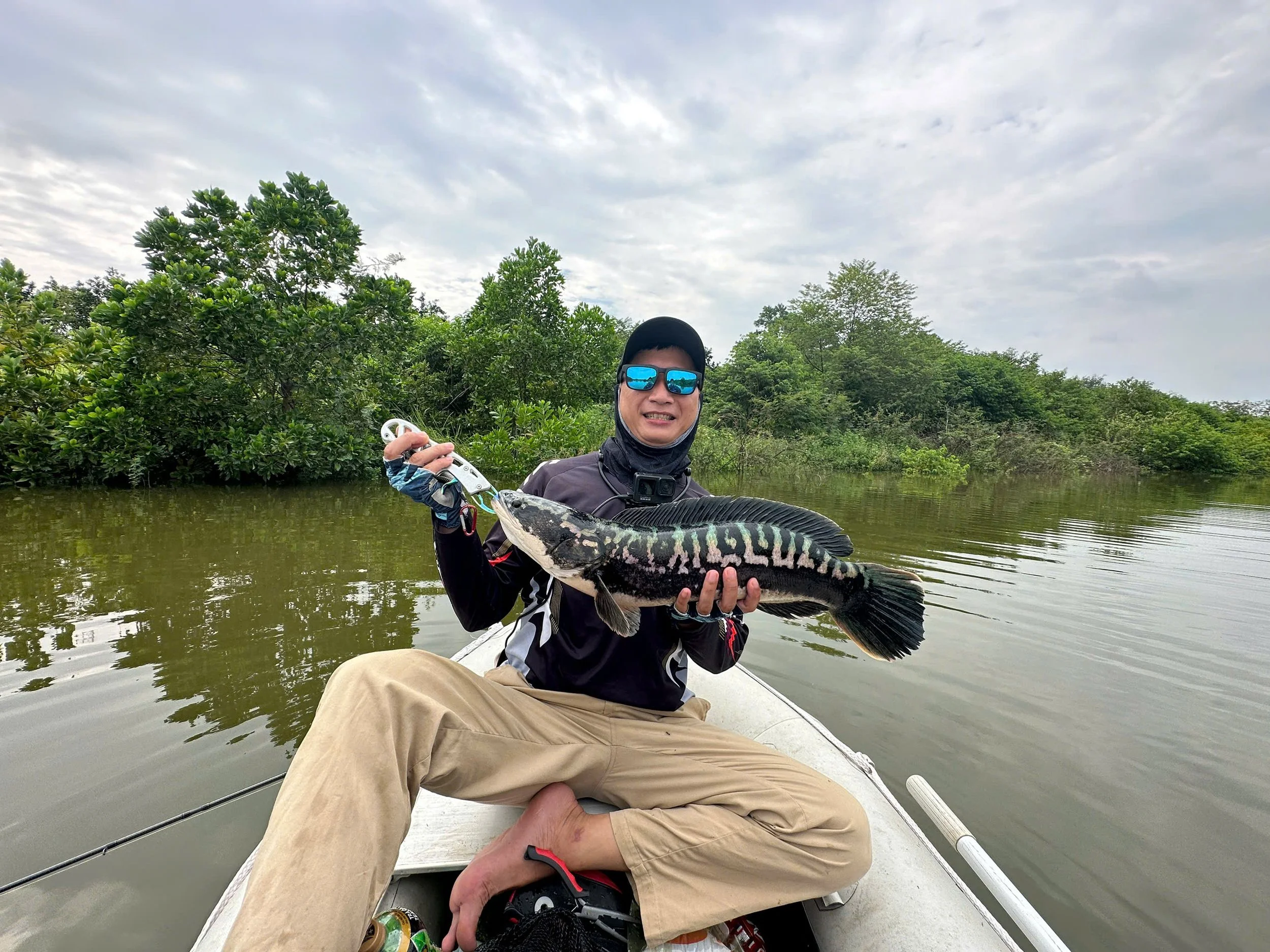 Channa Micropeltes lure fishing vietnam