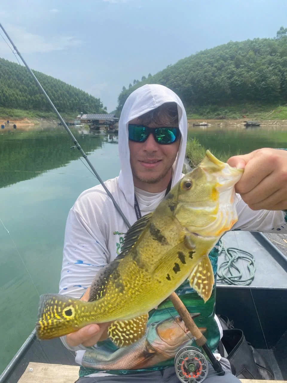 Peacock Bass Portfolio