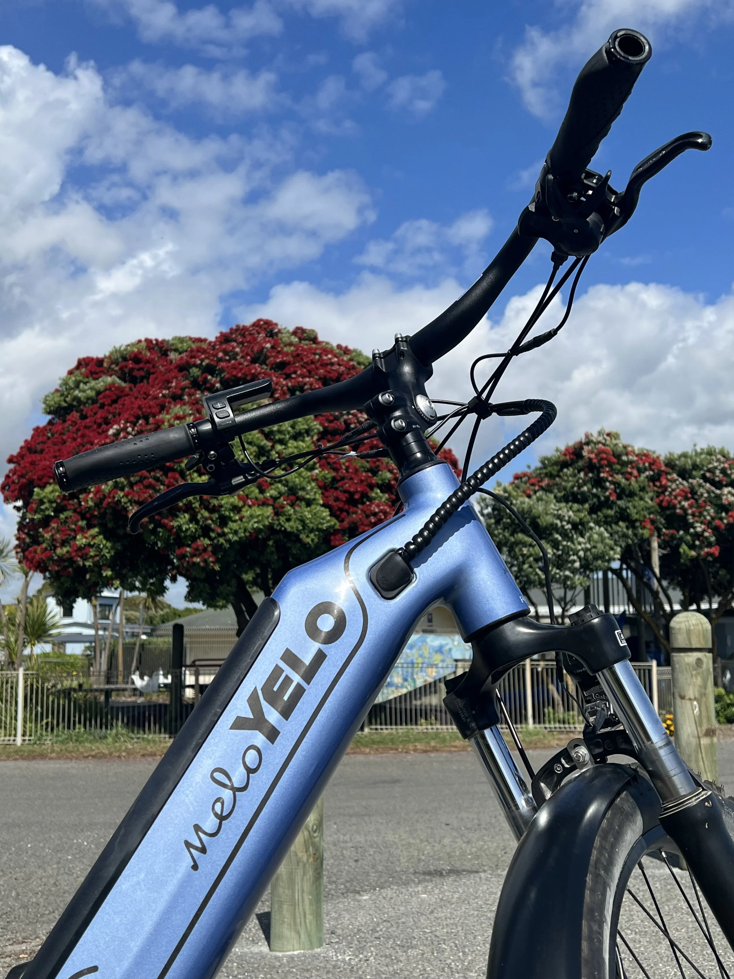 E-BIKE RENTALS