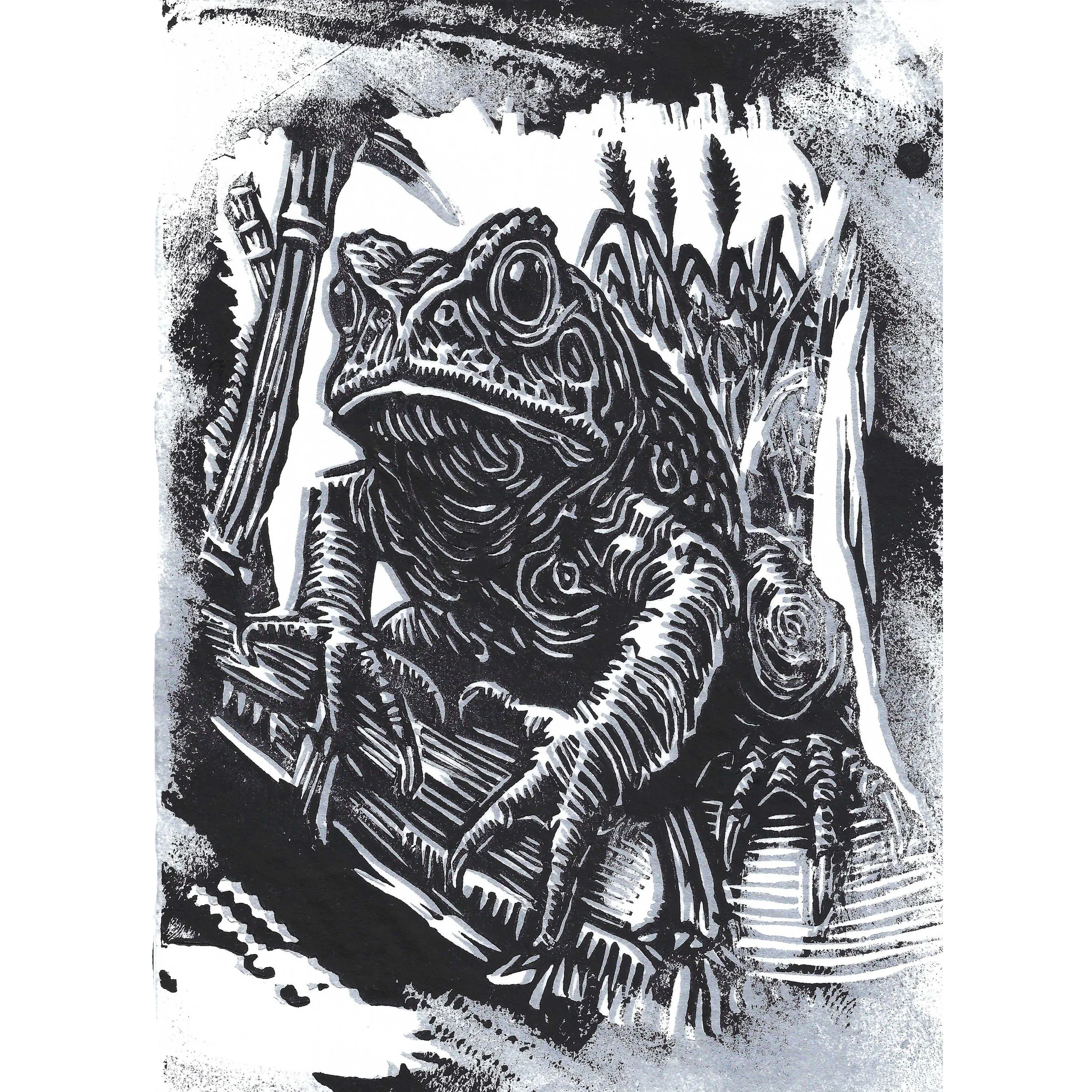 cane toad 3 sq.jpg