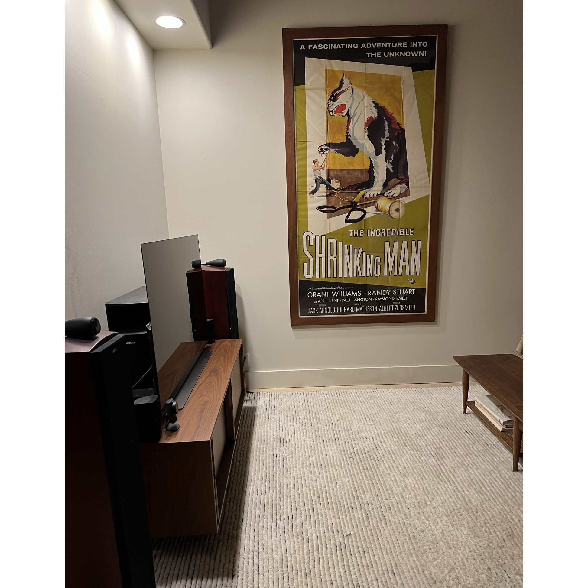 shrinking 01 copy.jpg