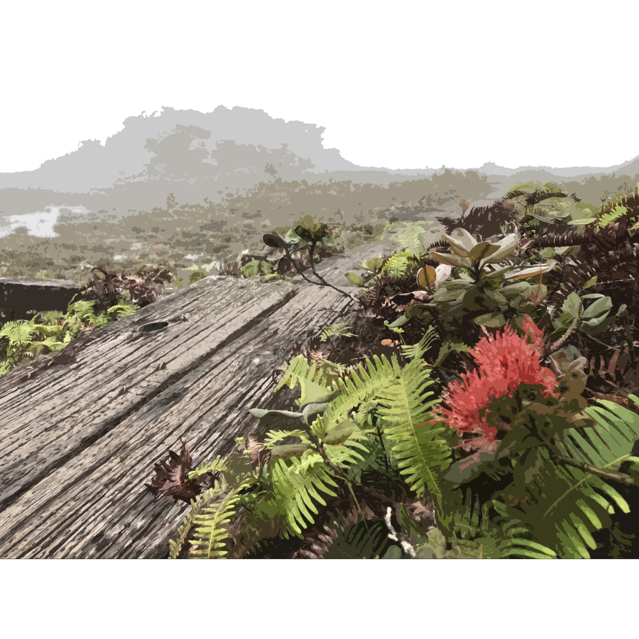 alakai swamp boardwalk  2021 09 07 copy square.jpg