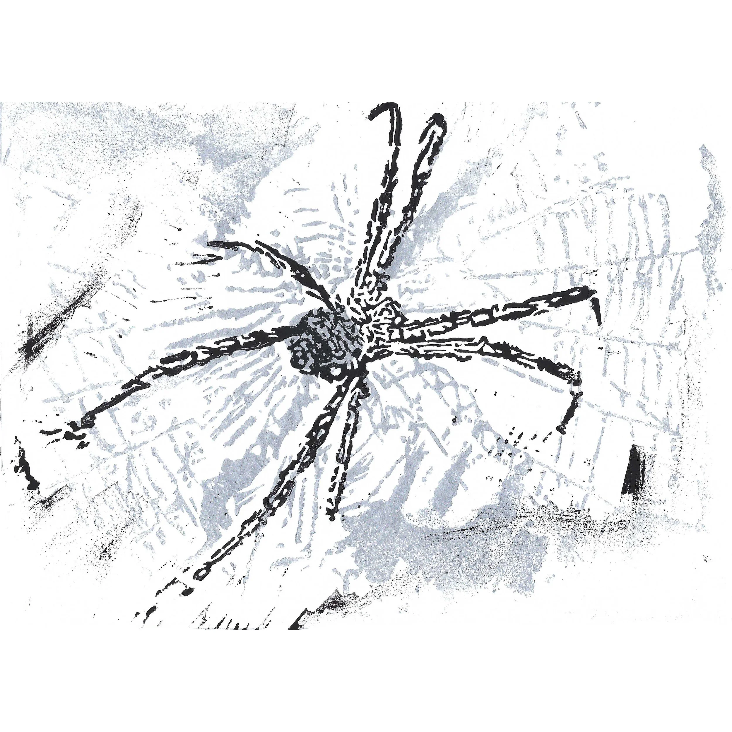 spider sq copy.jpg