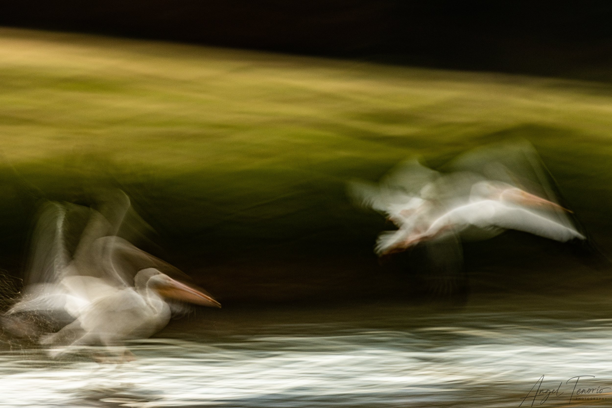Abstracto