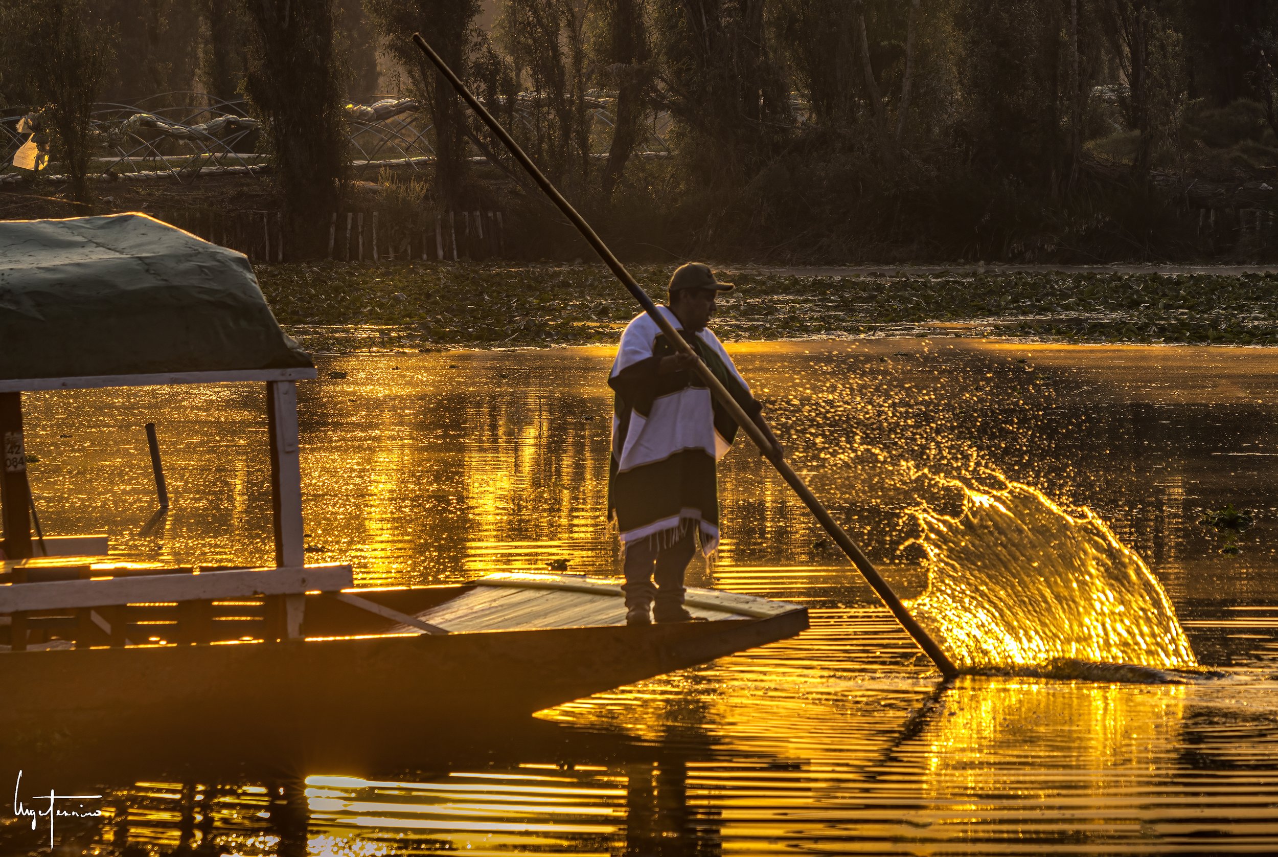 Xochimilco y sus humedales