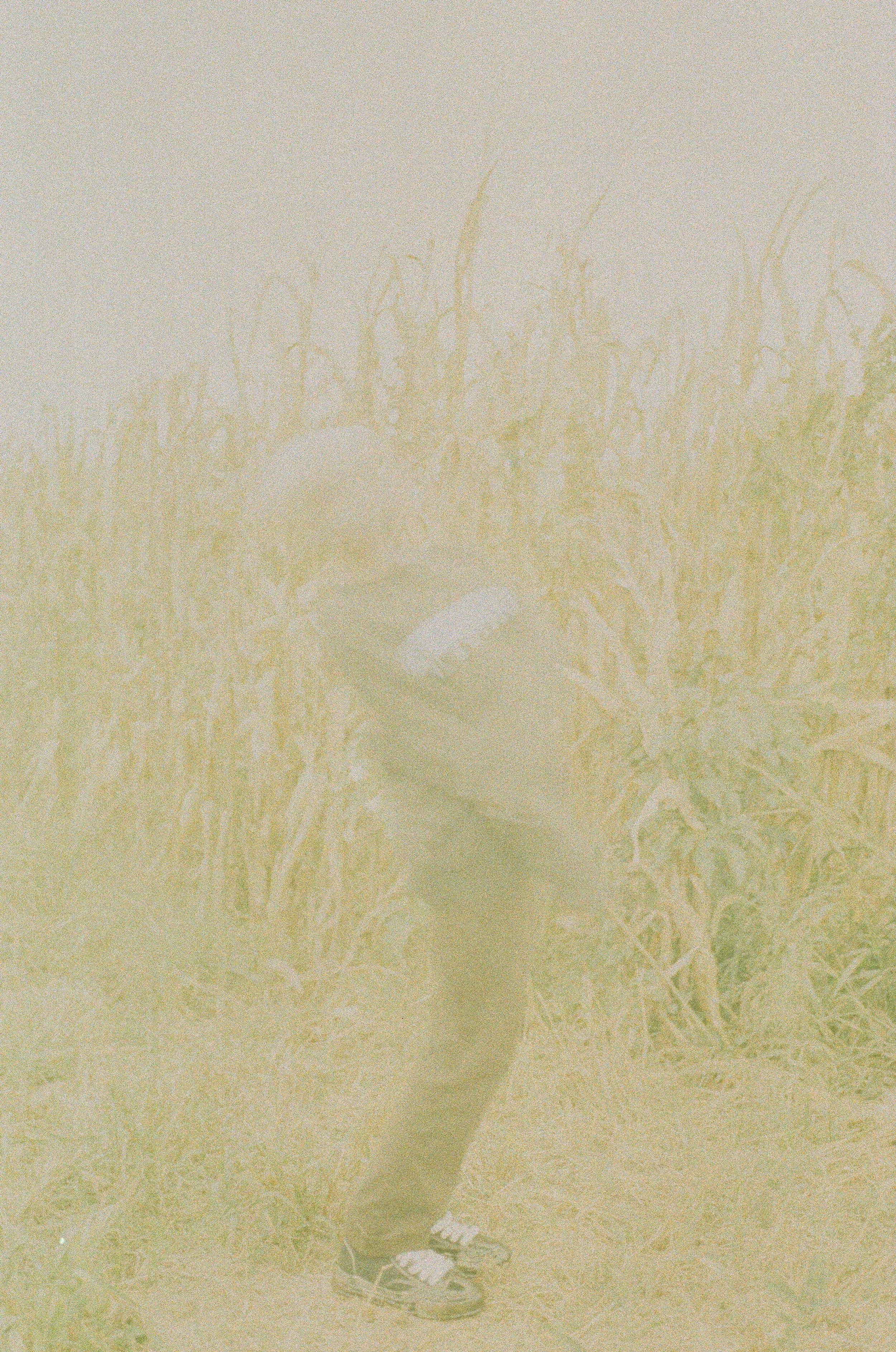 000019790028.jpg