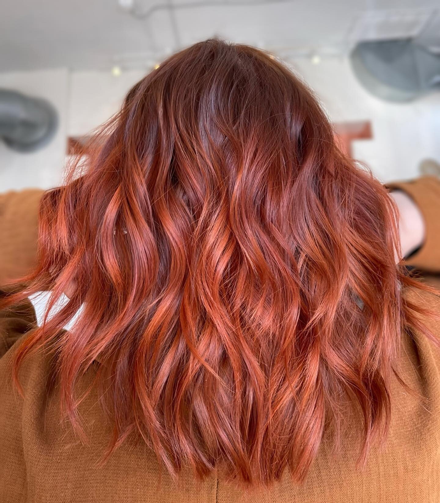 Take a peak at this before! ✨
Chloe came in wanting to go bolder and brighter.
At our previous appointment we took a baby step into the darker copper side to ensure she would like it and it payed off! 
@kevin.murphy 
Base- 6.34+ 5.43 equal parts 10 v