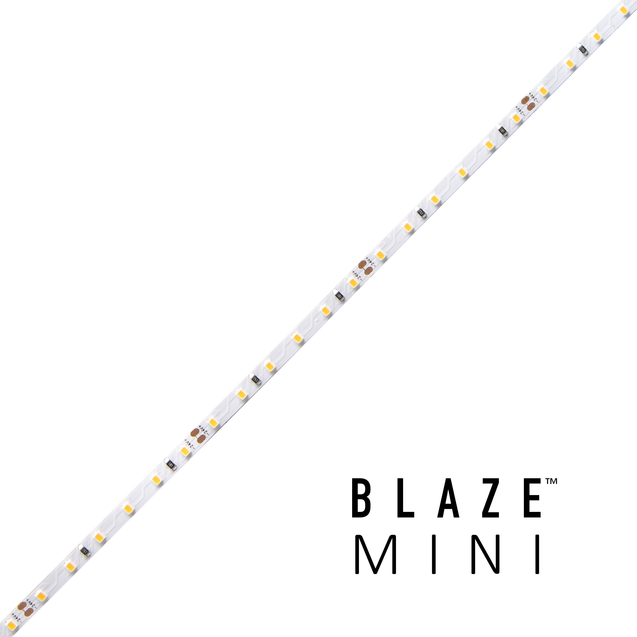 blaze-mini_-1.jpg