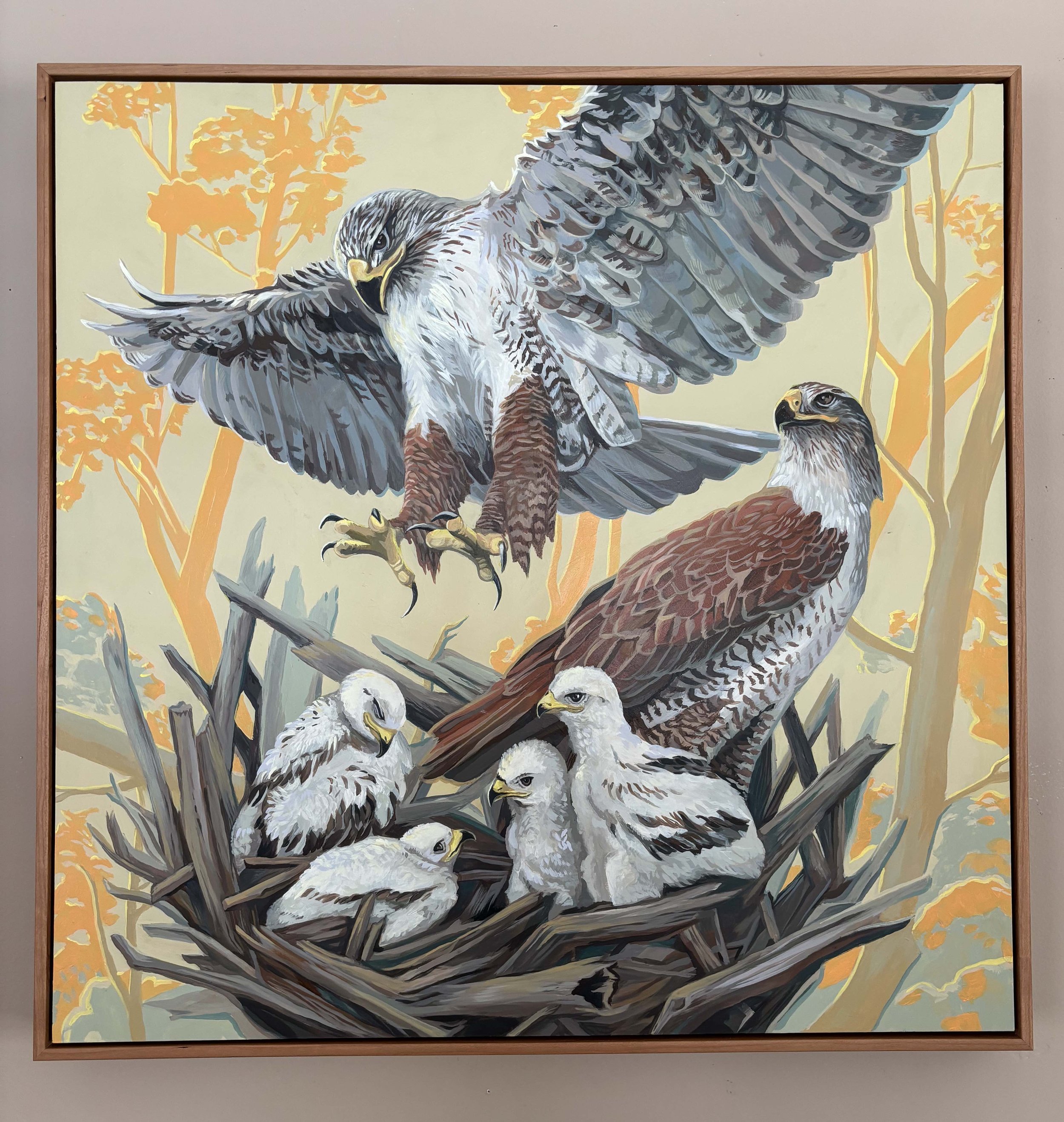 hawk 2.jpg