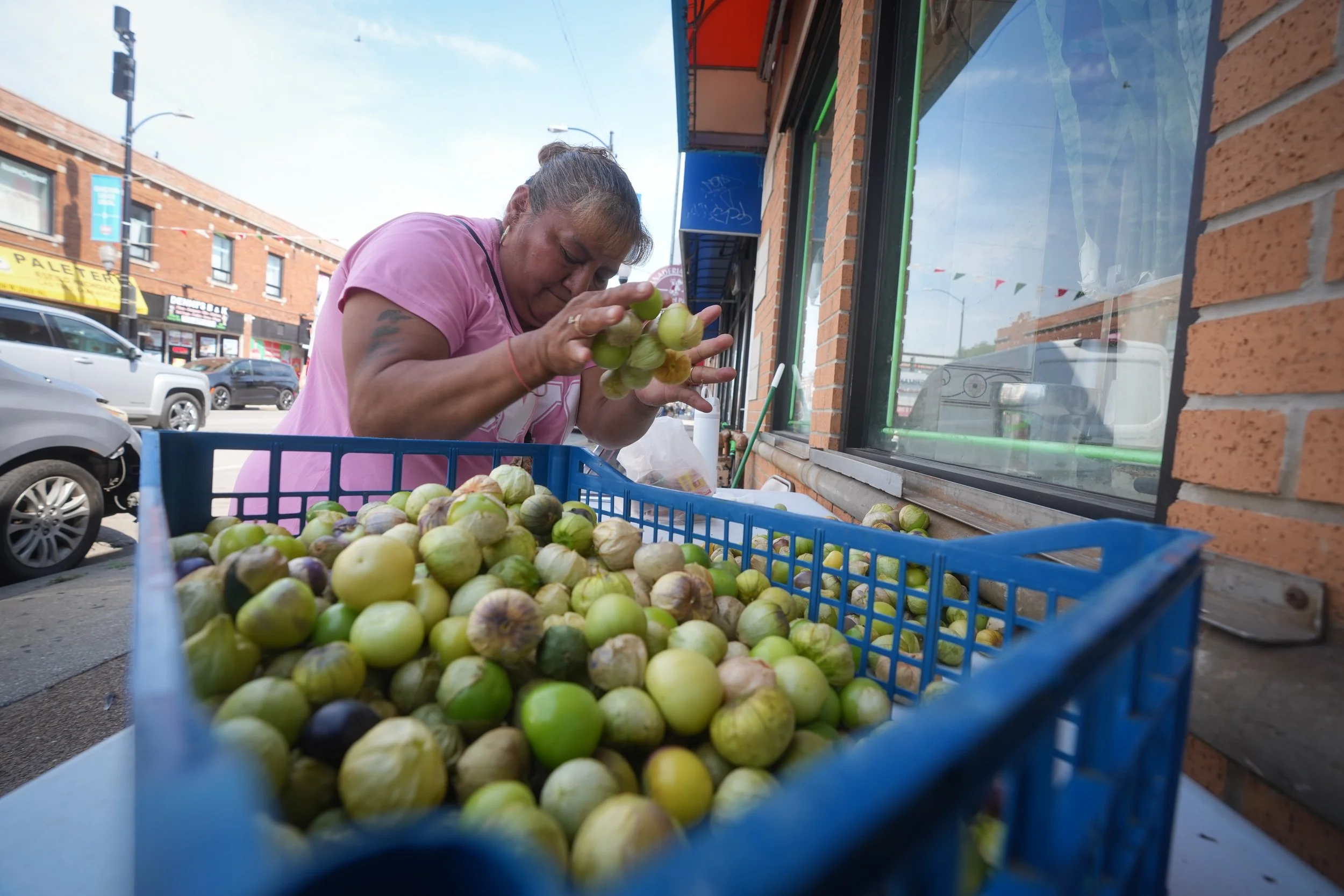 From ‘Blitz’ to Bust: ICE cost businesses $1.2B in losses