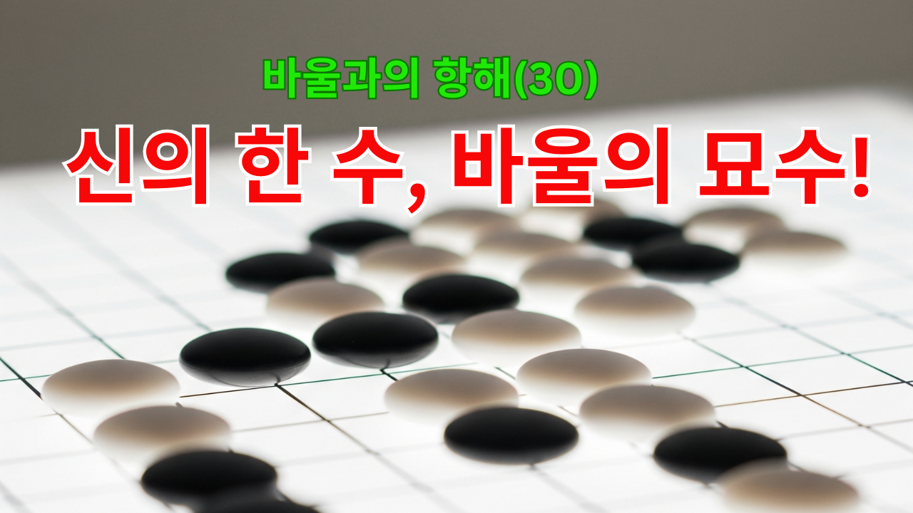 바울과의 항해(30)