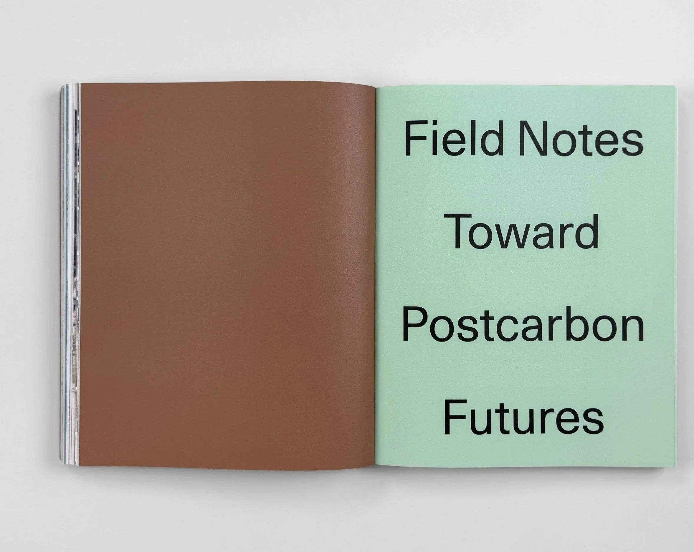 Photograph of the beginning spread of the post-carbon field notes section.