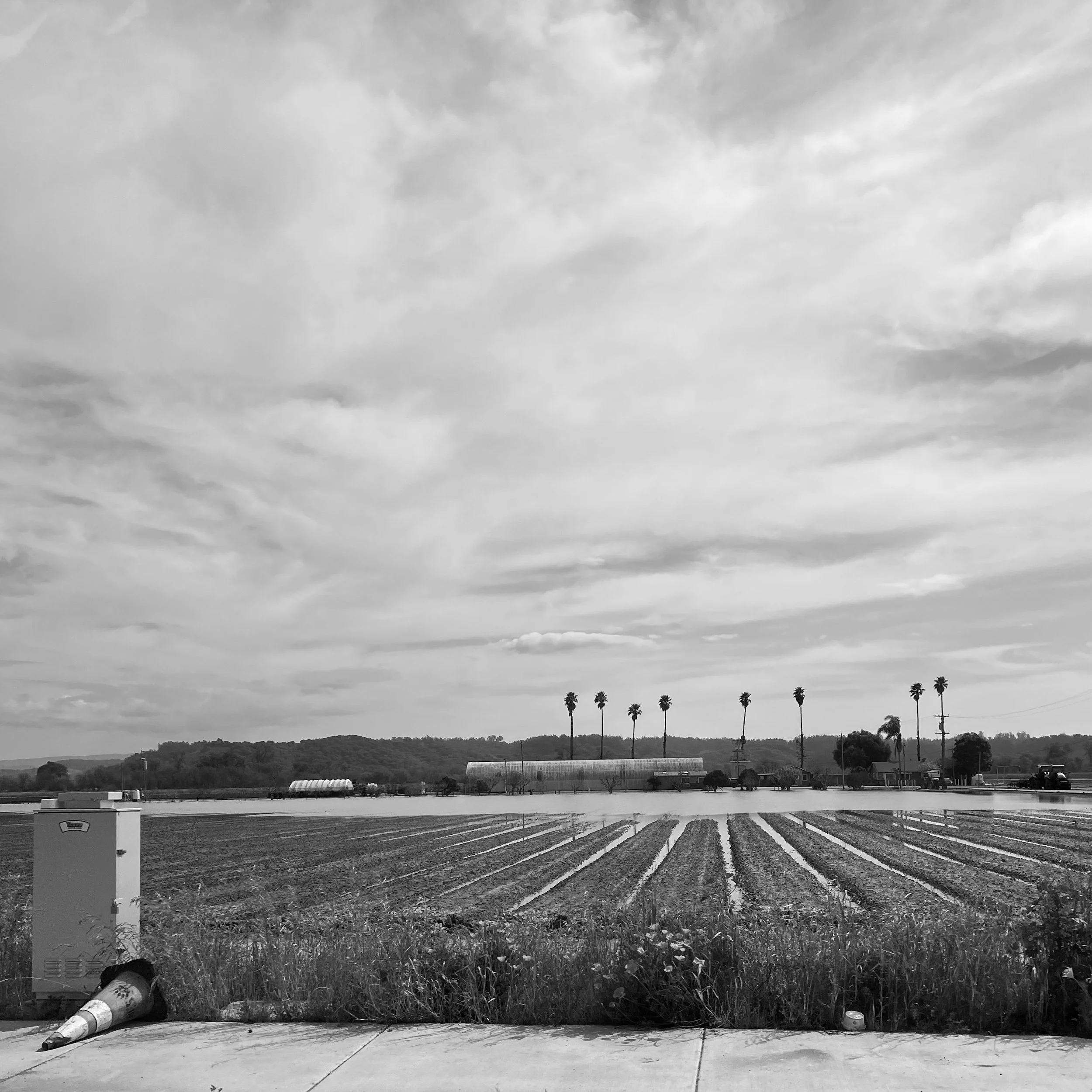 Photograph of flooded Pajaro farmlands