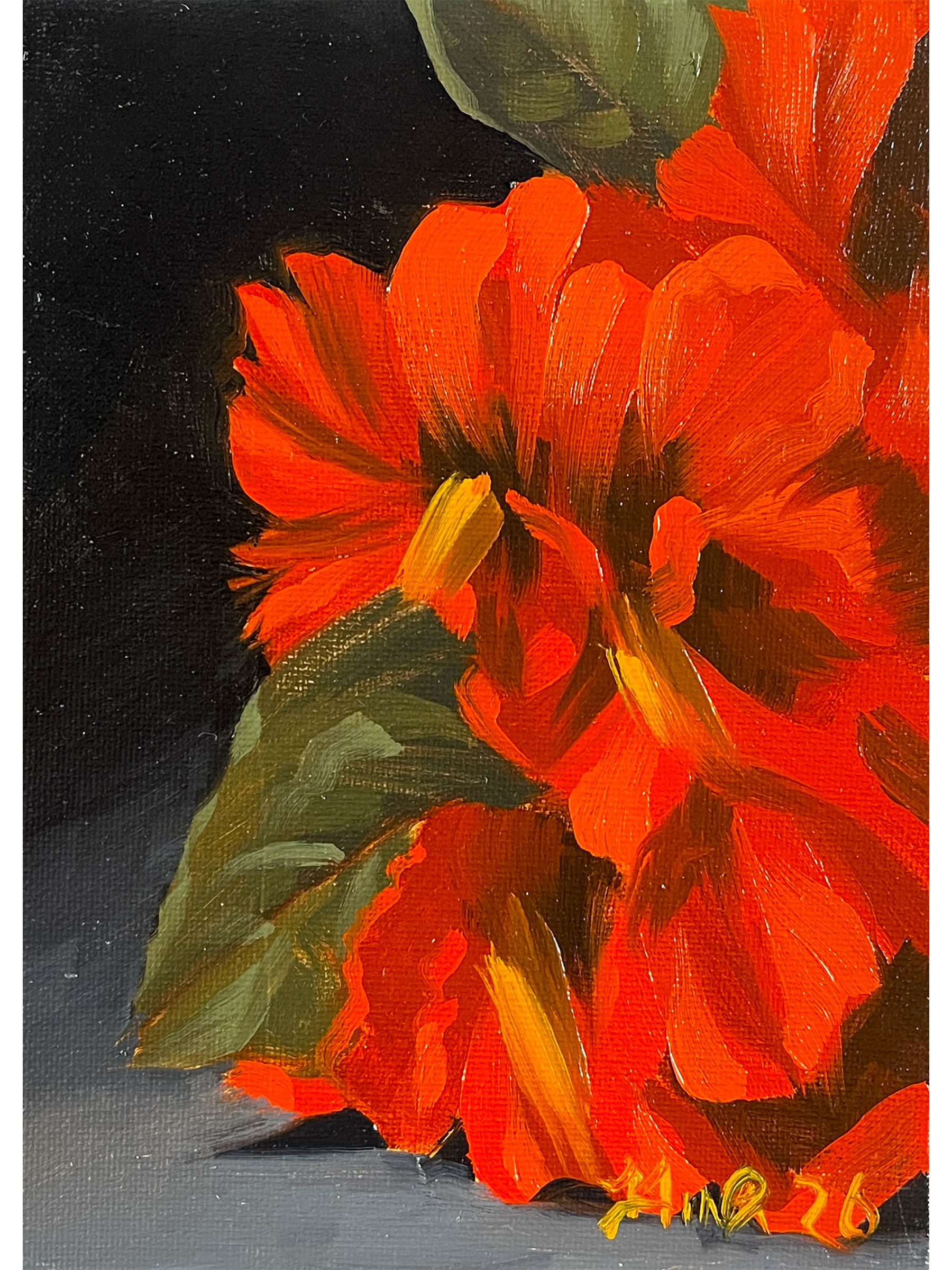 Red Hydrangeas