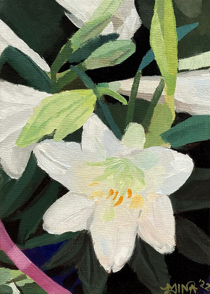 White Lilies from Papillion