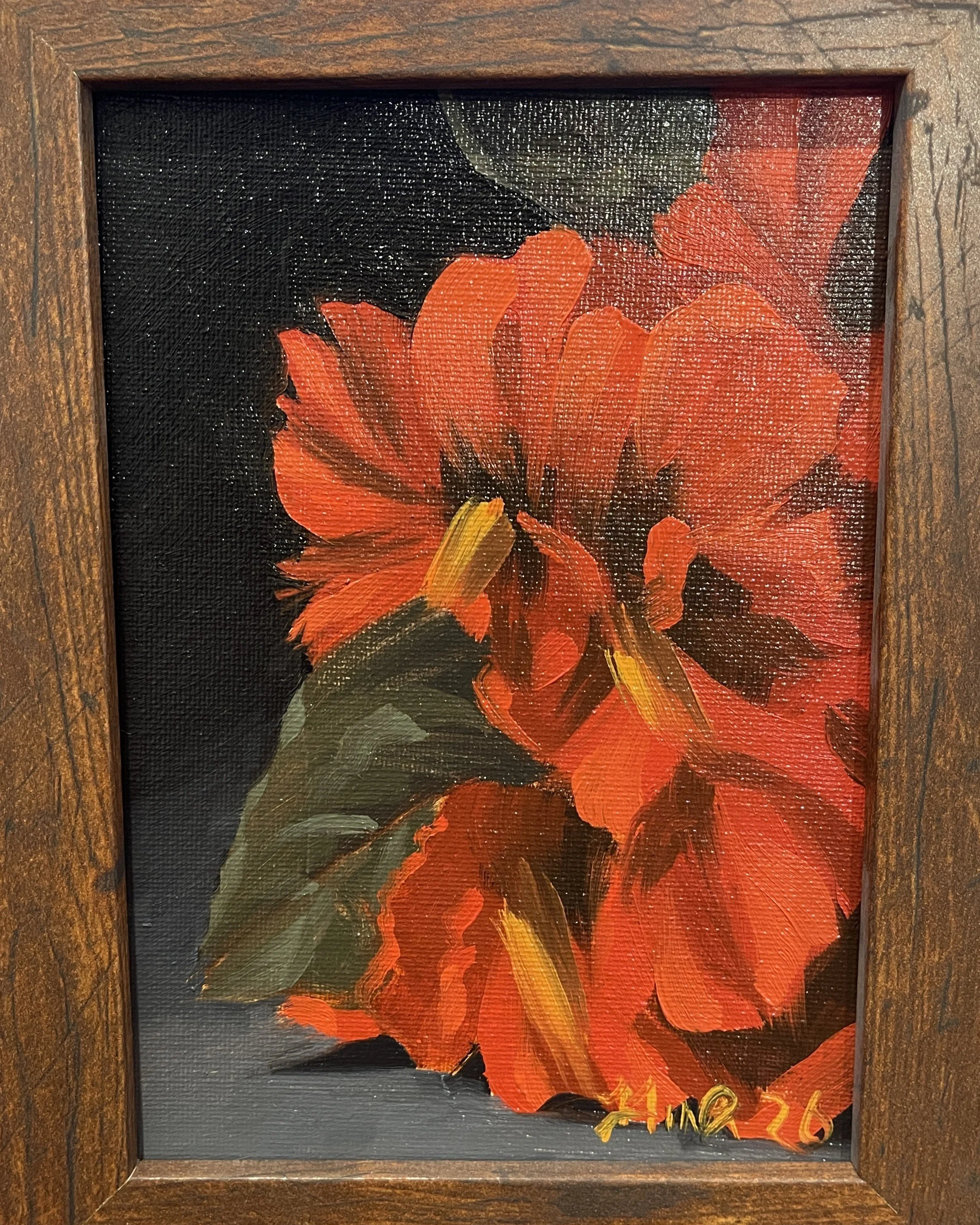 Red Hydrangeas [TEMPORARY IMAGE]