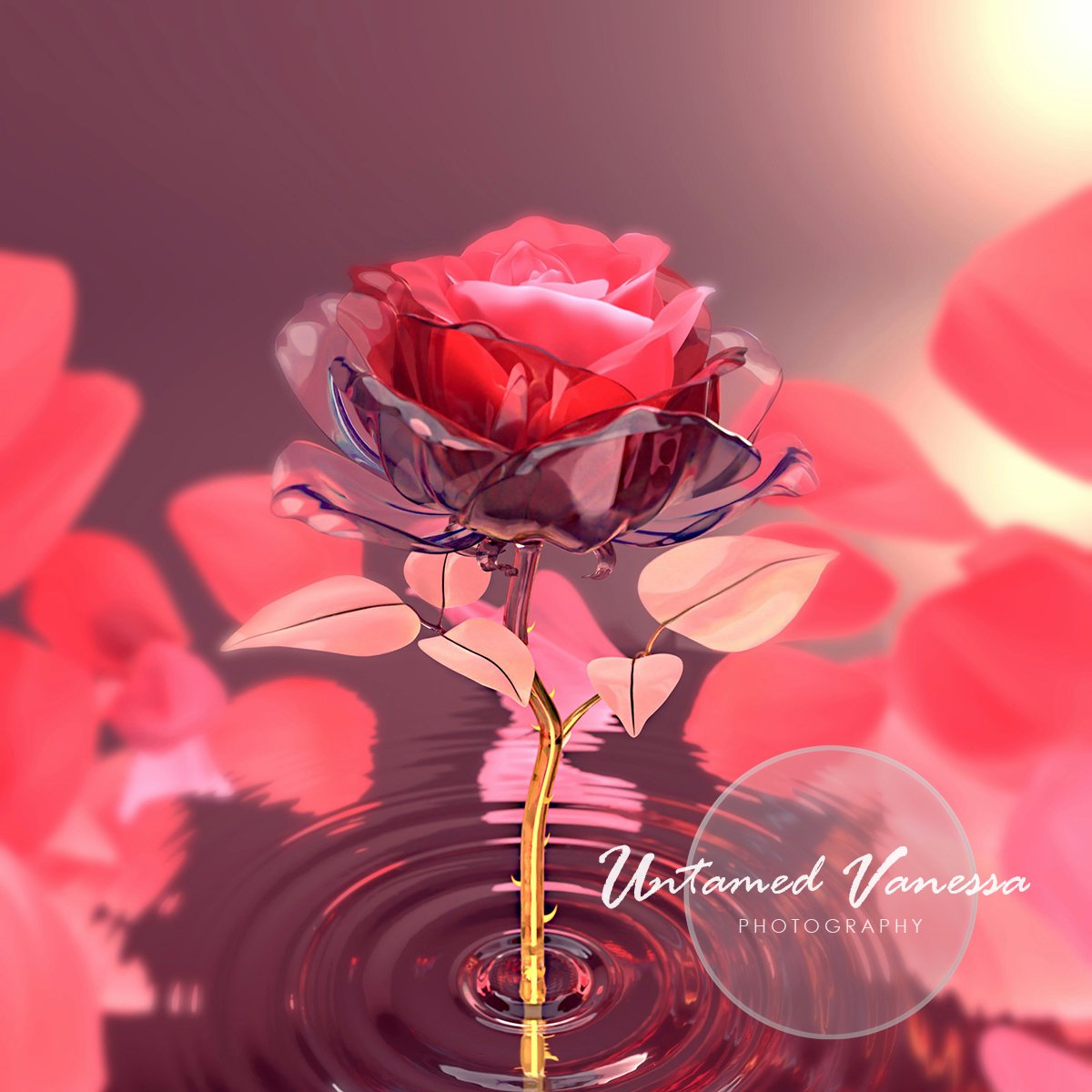 The Rose That Became the Prince