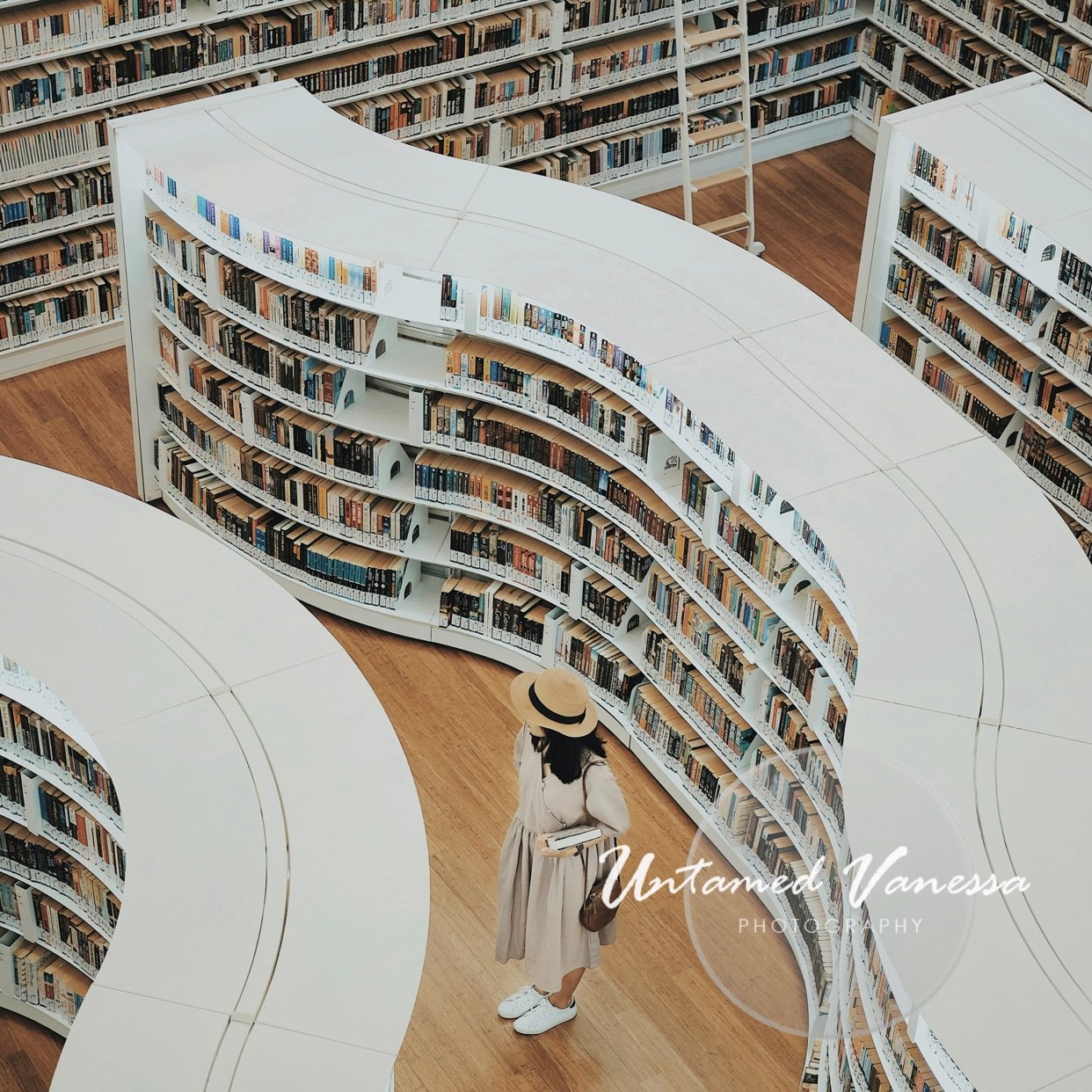 The Illusion of Infinite Wisdom
