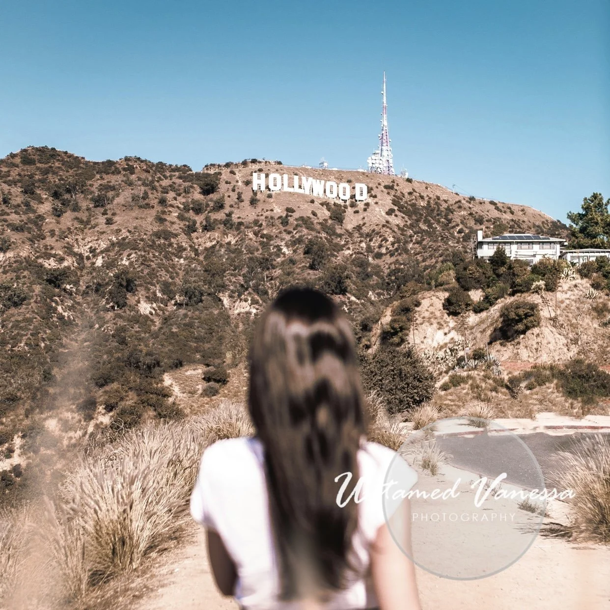 The Things That Save Us Also Burn 