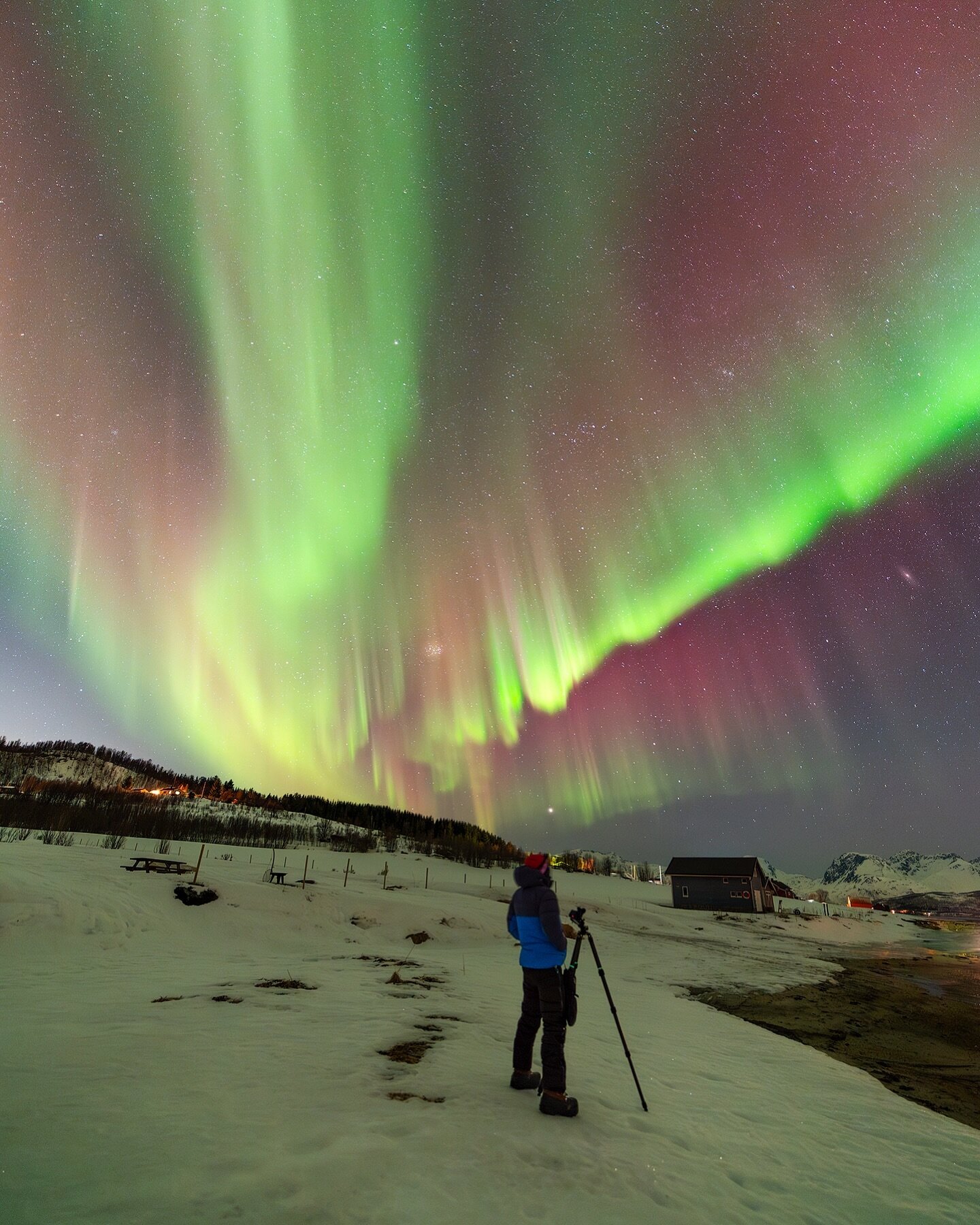 Our second night in Norway had a surprise for us. Not having a lot of expectations while driving, but the readings spiked up and there she was! Another colorful dance above our heads!💚

Pleiades, Jupiter and Andromeda Galaxy can be found near the ho