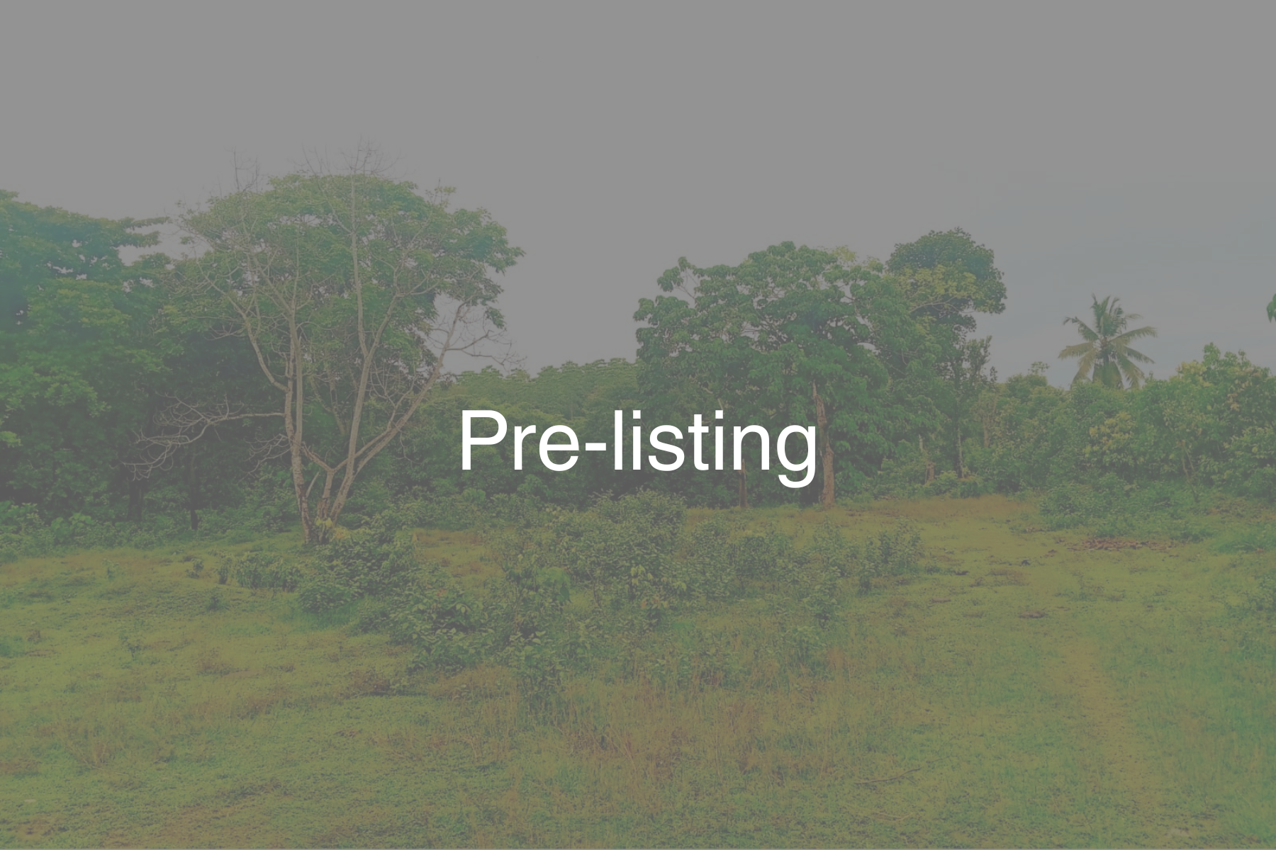 Pre-listing: Lake facing land for sale in Ahangama