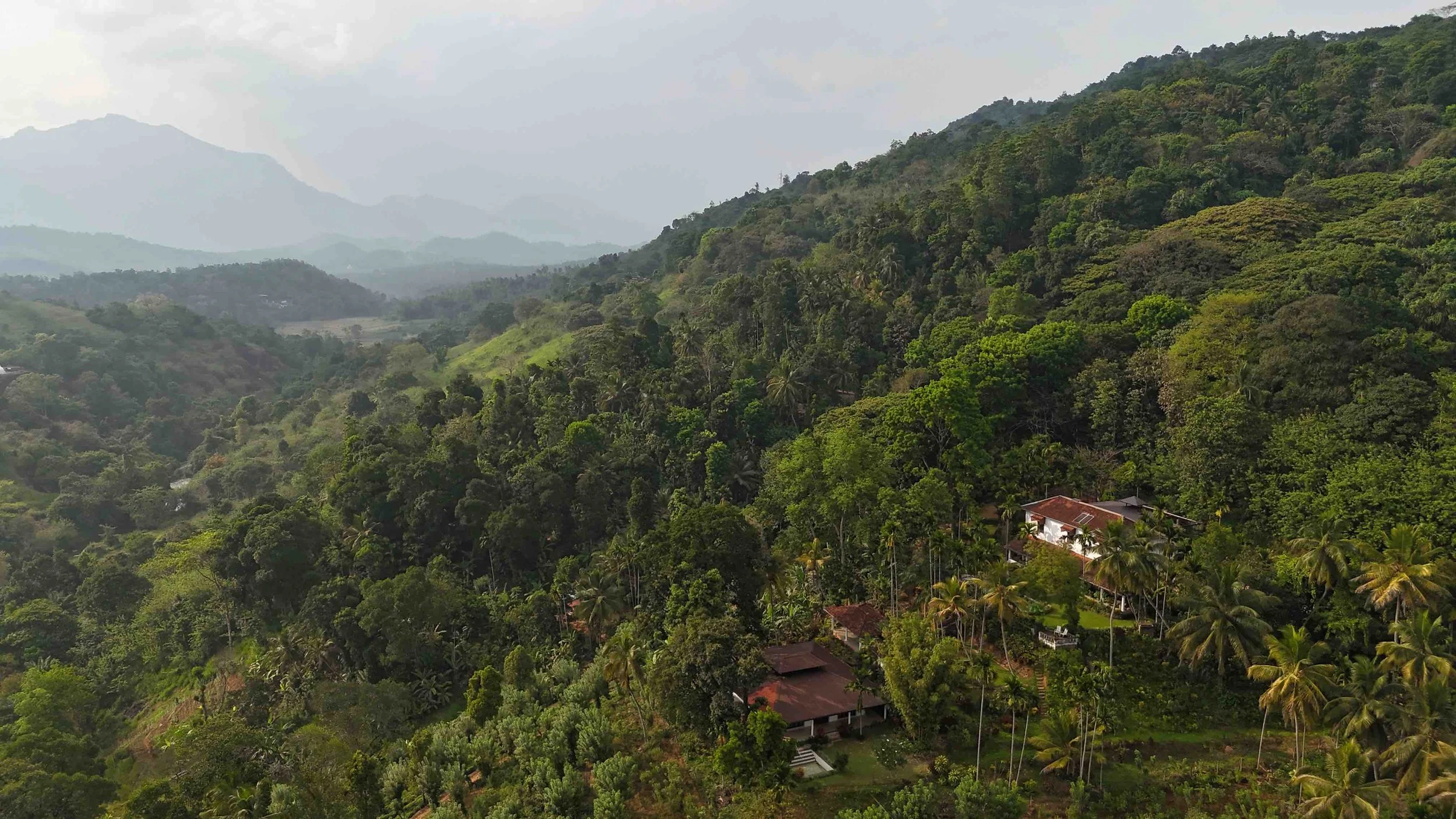 Matale Tea Featured properties for sale — The New Sri Lankan House