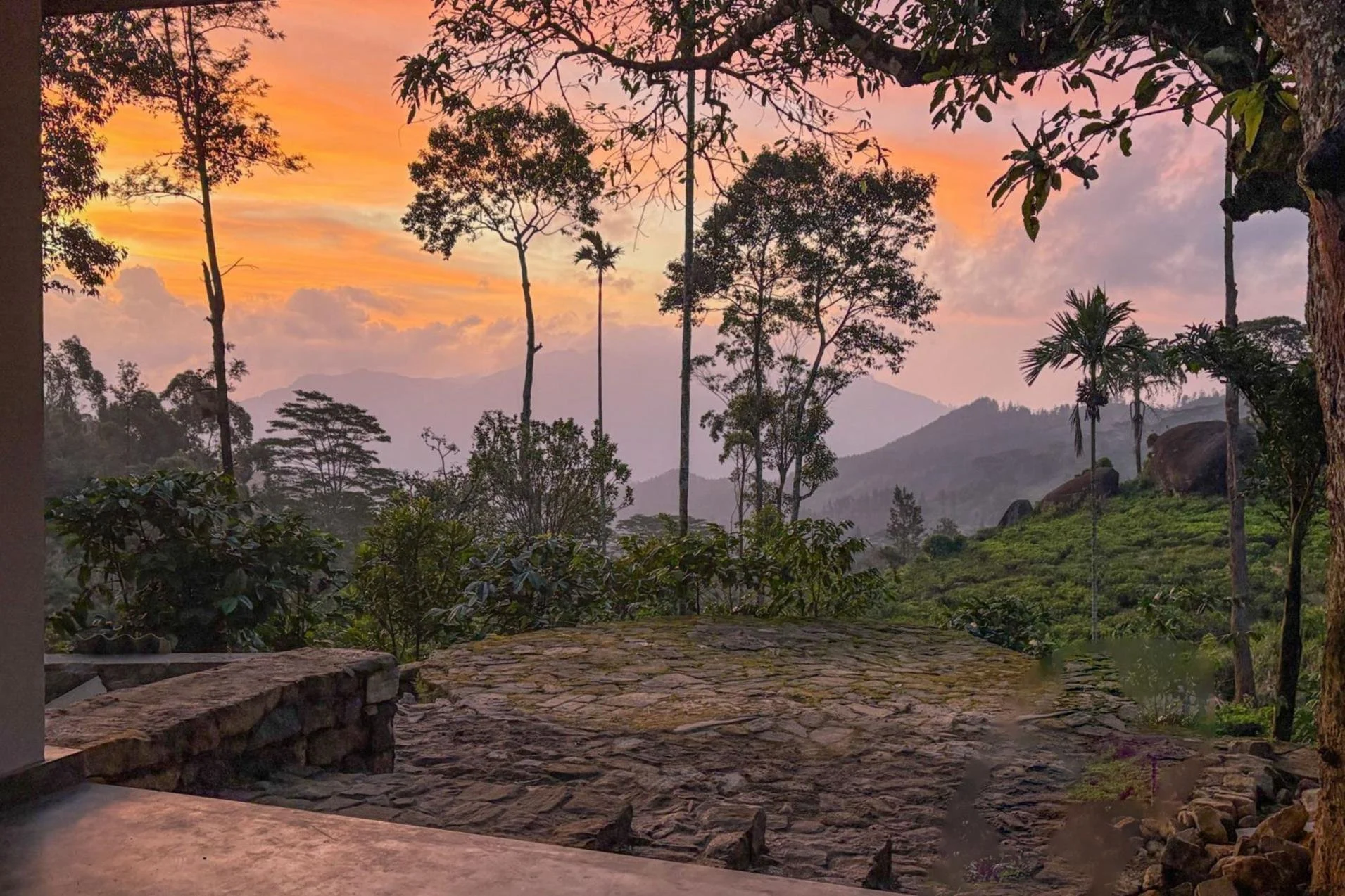 A beautiful tea estate for sale in Nawalapitiya