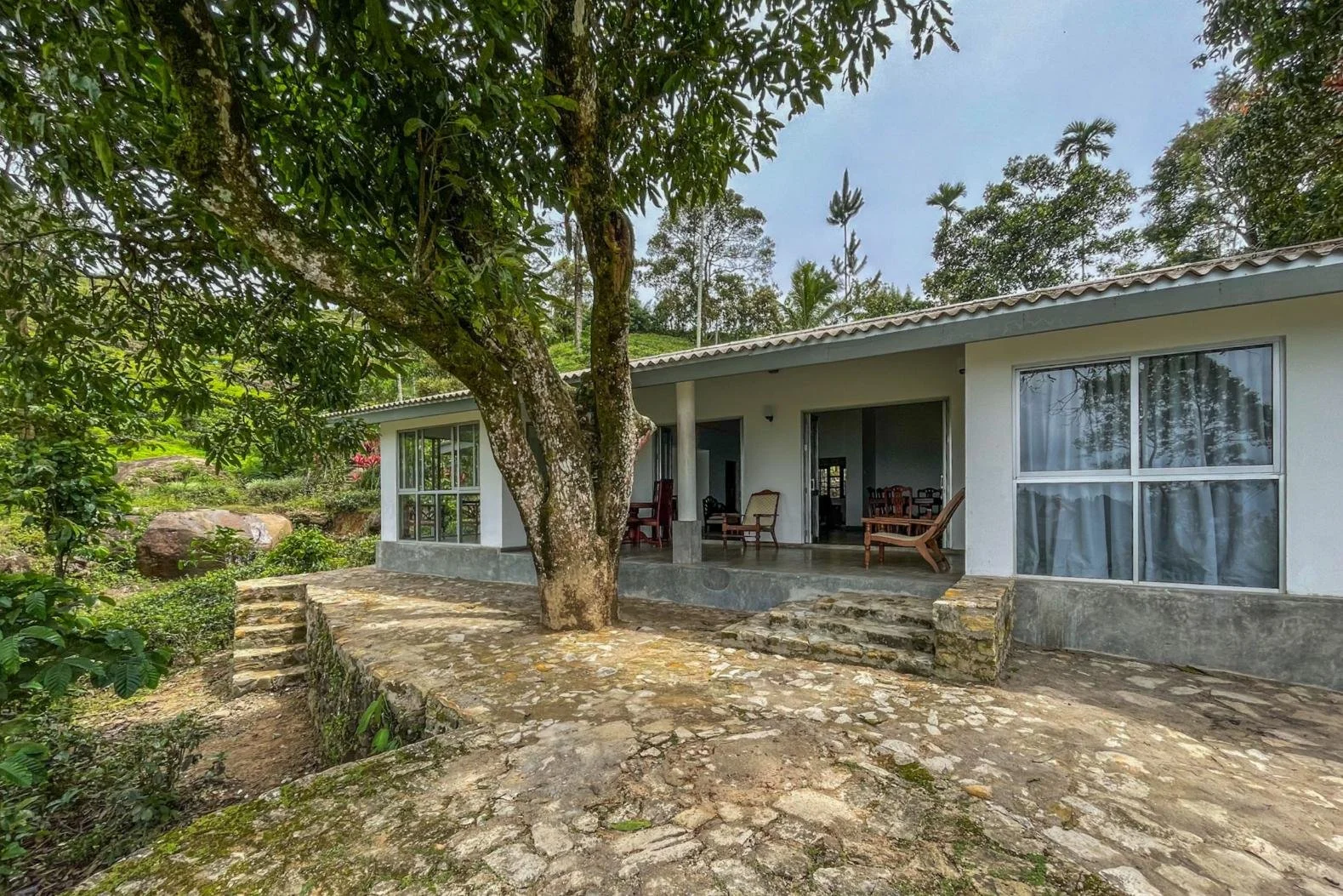 Tea estate for sale | Nawalapitiya | Sri Lanka | (PM11) 4.jpg