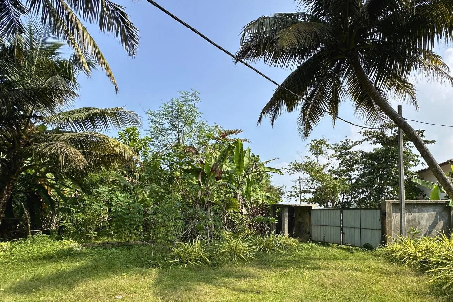 Beachfront land for sale | Balapitiya | Sri Lanka | (222) 25.jpg